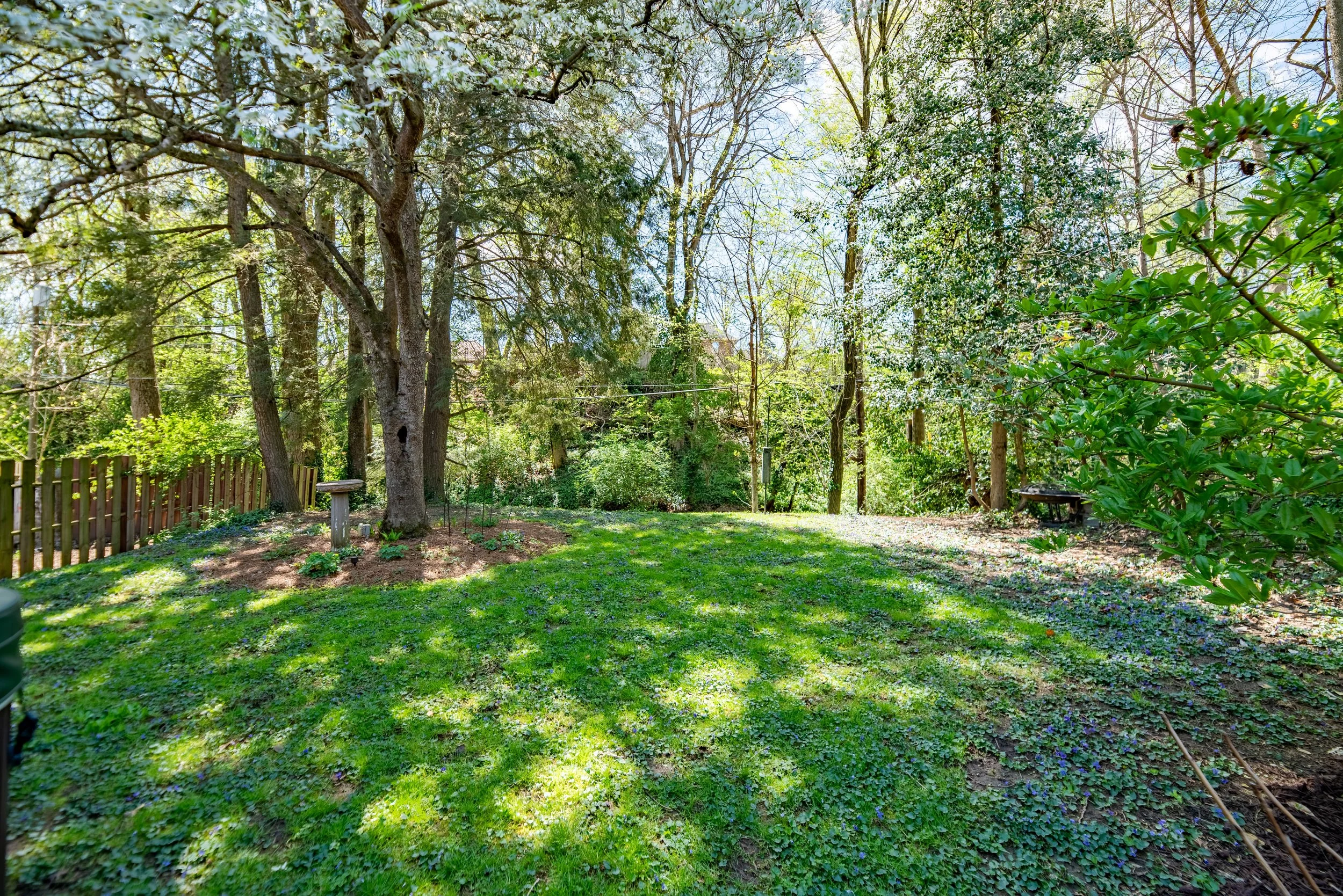 DSC_4083-HDR.jpg