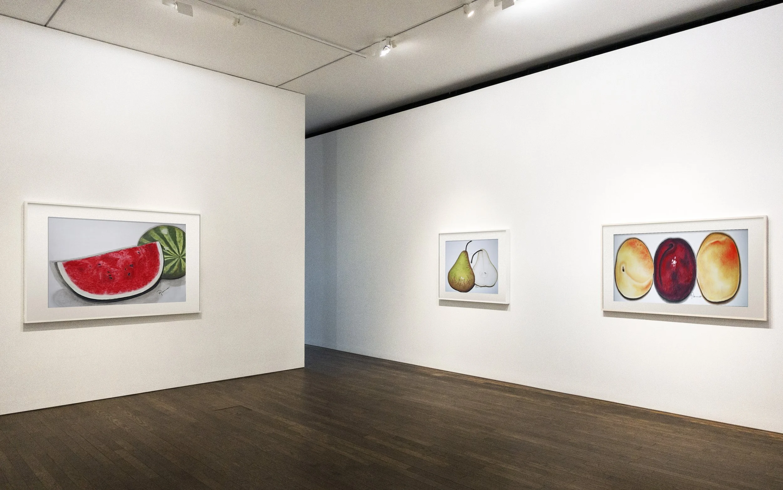 Galeria Dando Frutos.jpg