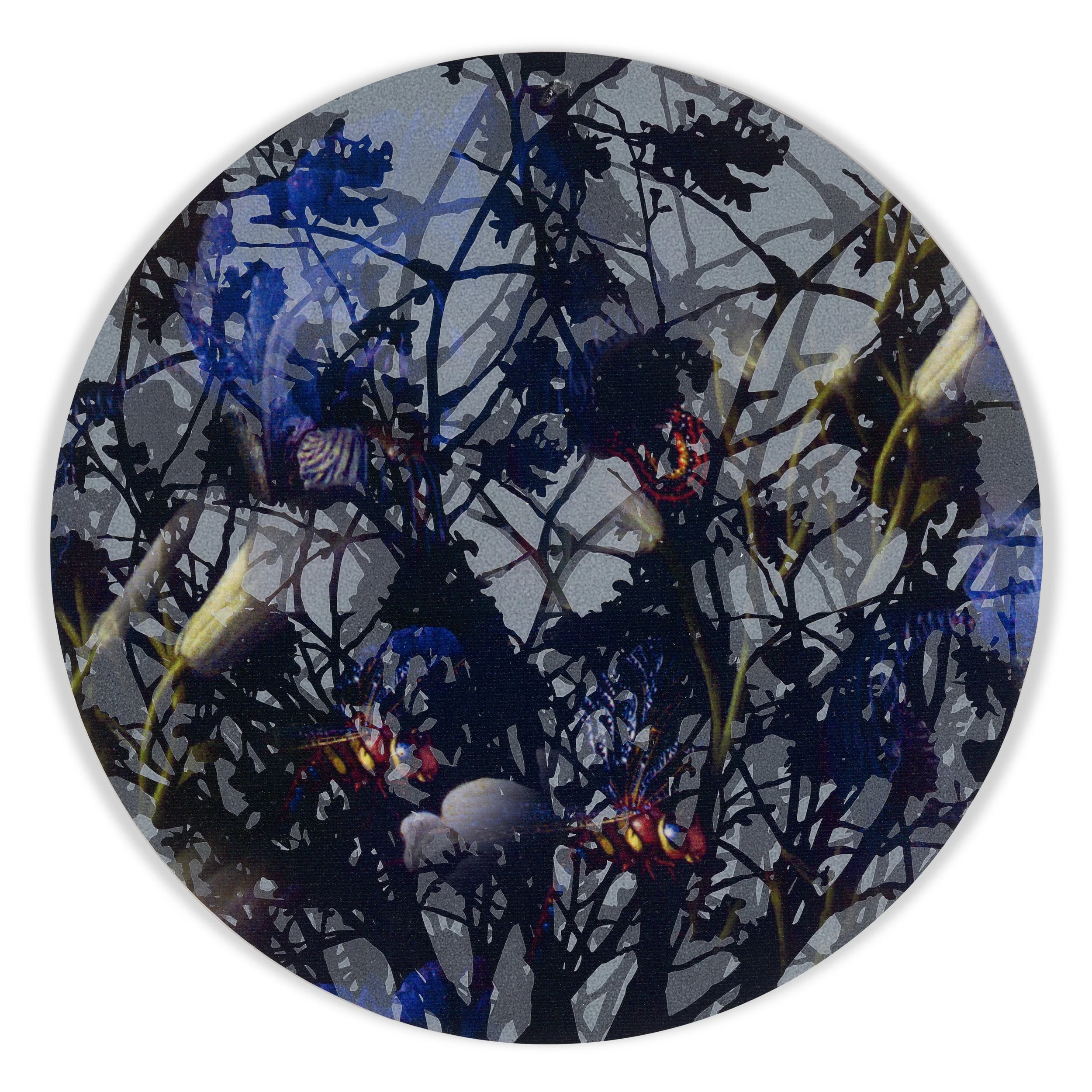 J Myszka Lewis,  Kaleidoscopic Floral Study 9 , 2025. Acrylic and digital collage on canvas mounted to panel. 10 x 10 x1 inches. 