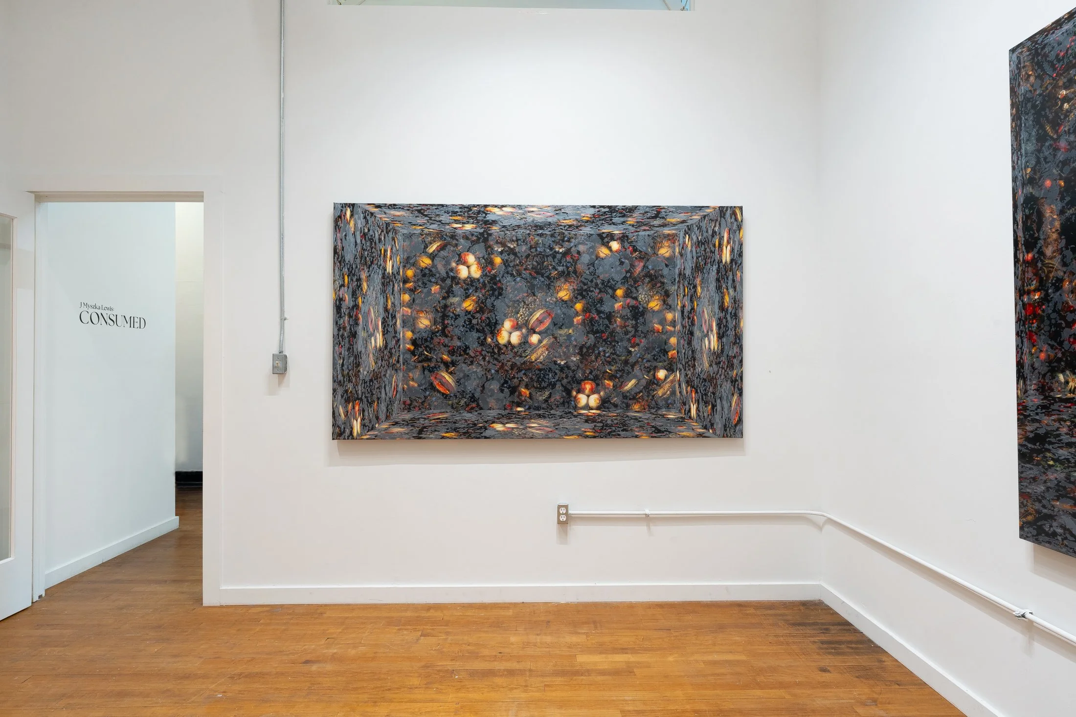Installation image of  J Myszka Lewis: CONSUMED  by Daniel McCullough.