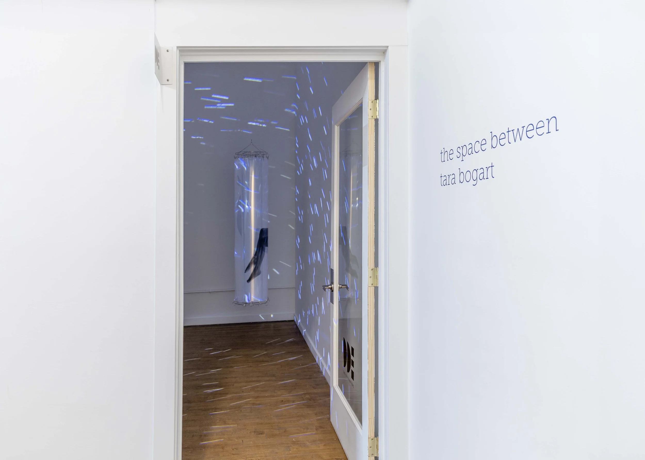 Installation image of  tara Bogart: the space between . Image by Abi Grace Logsdon.