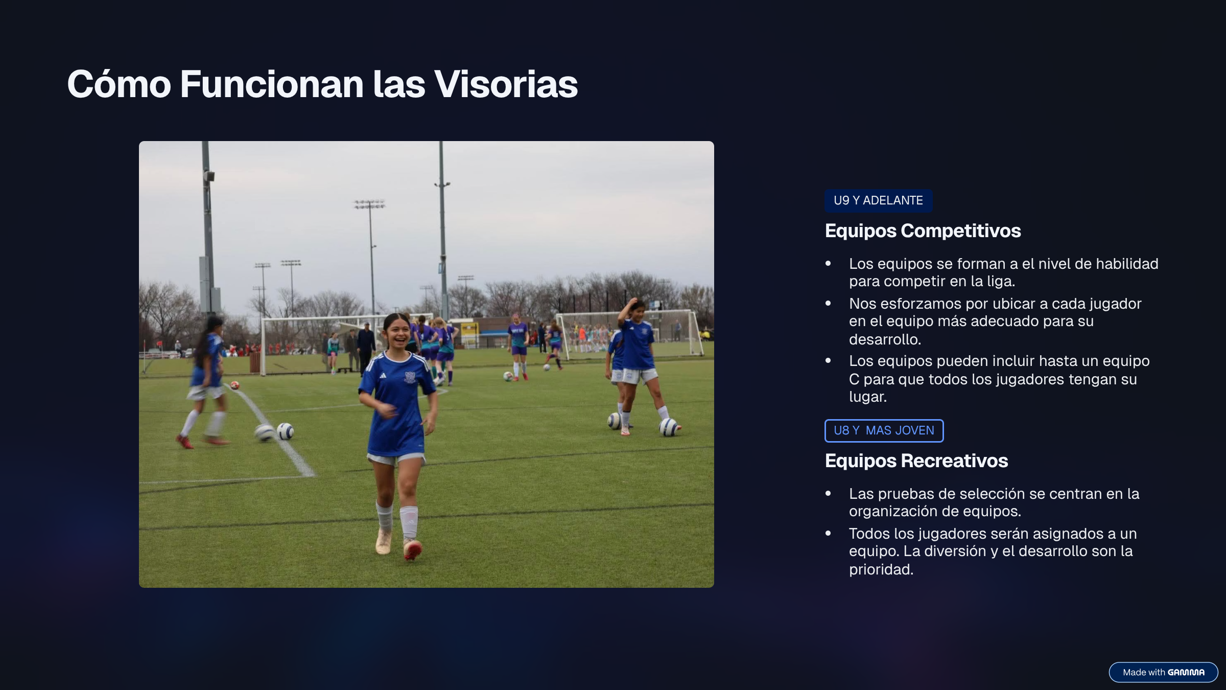 3_Como-Funcionan-las-Visorias.png