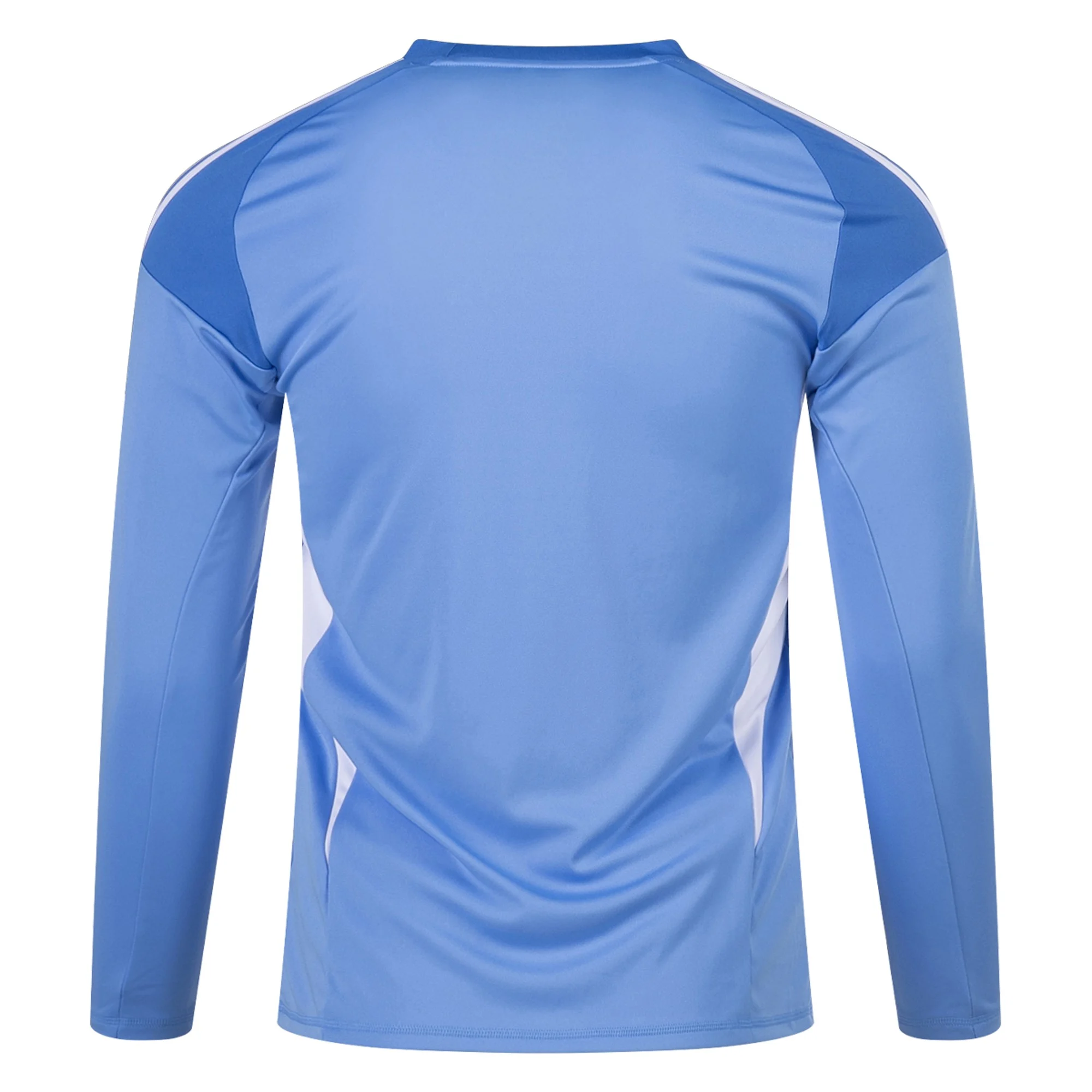 Goalkeeper Jersey Blue Back.png