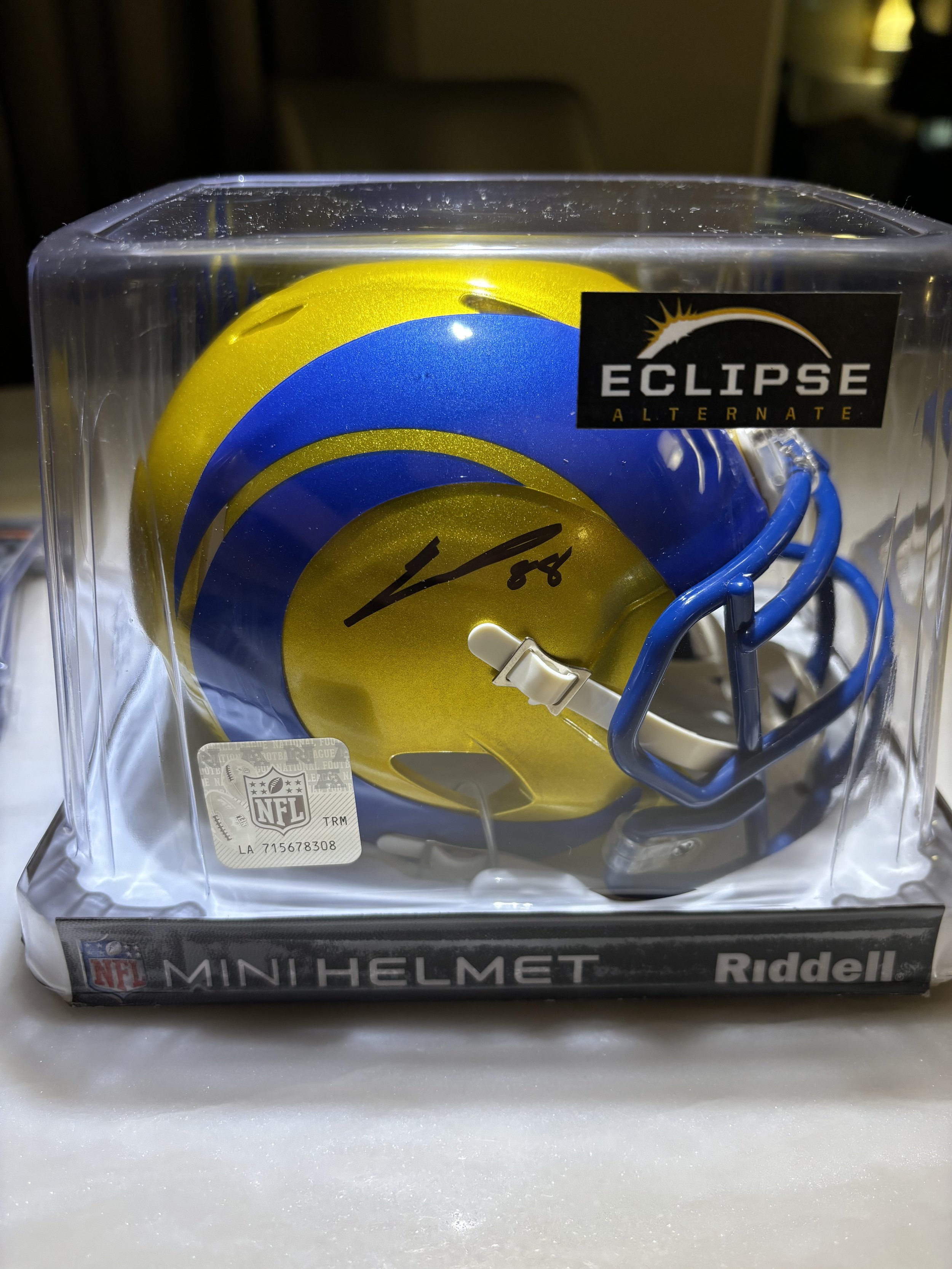 Jordan Whittington Mini Helmet