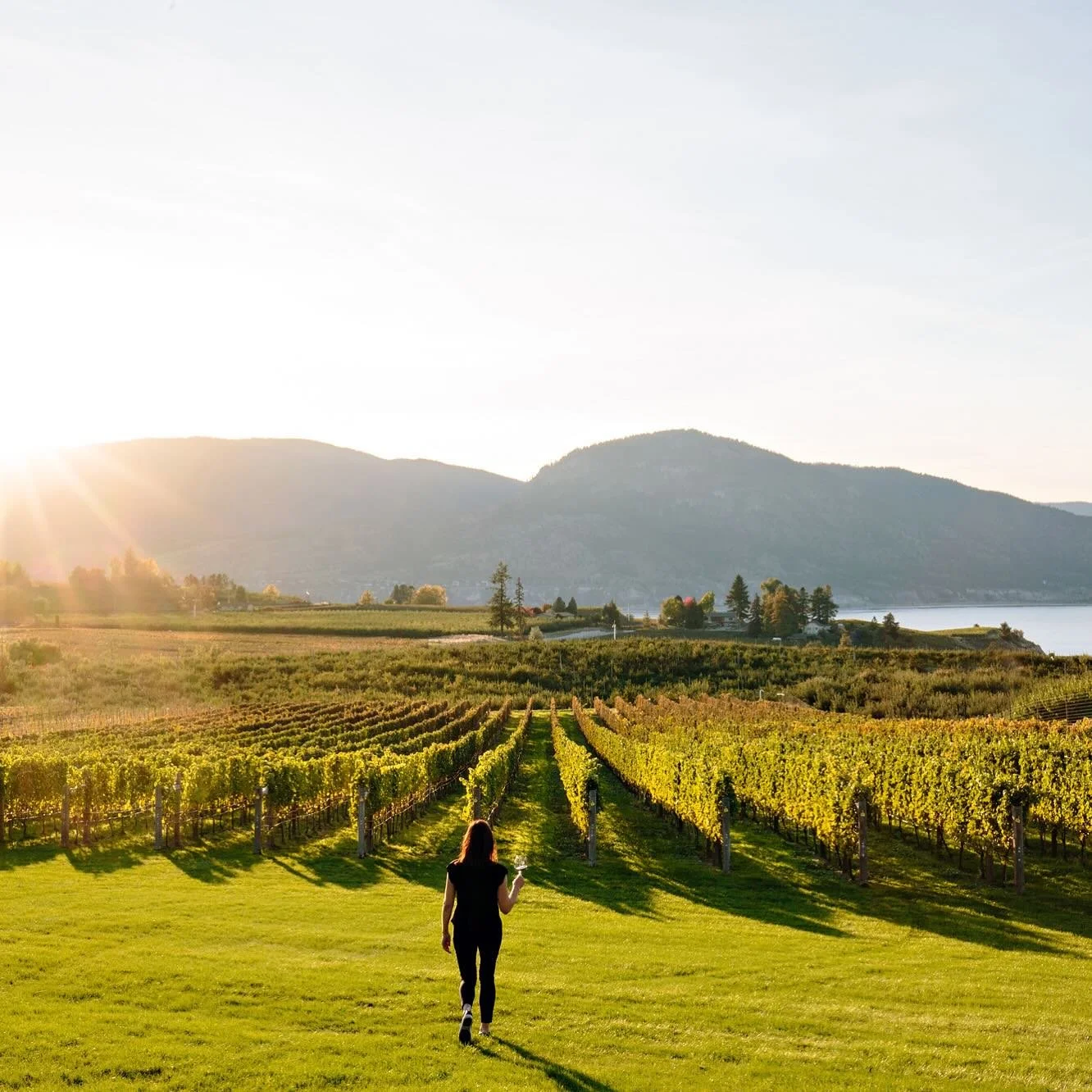 Travel, geography, beauty, warmth, community - just a few things I love about wine.

This transcend borders. The grit and passion driving this industry is found in any wine region you visit (or taste).

Supporting local and small business (wherever y