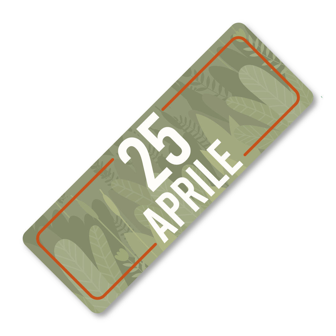 Ingresso singolo | 25 Aprile