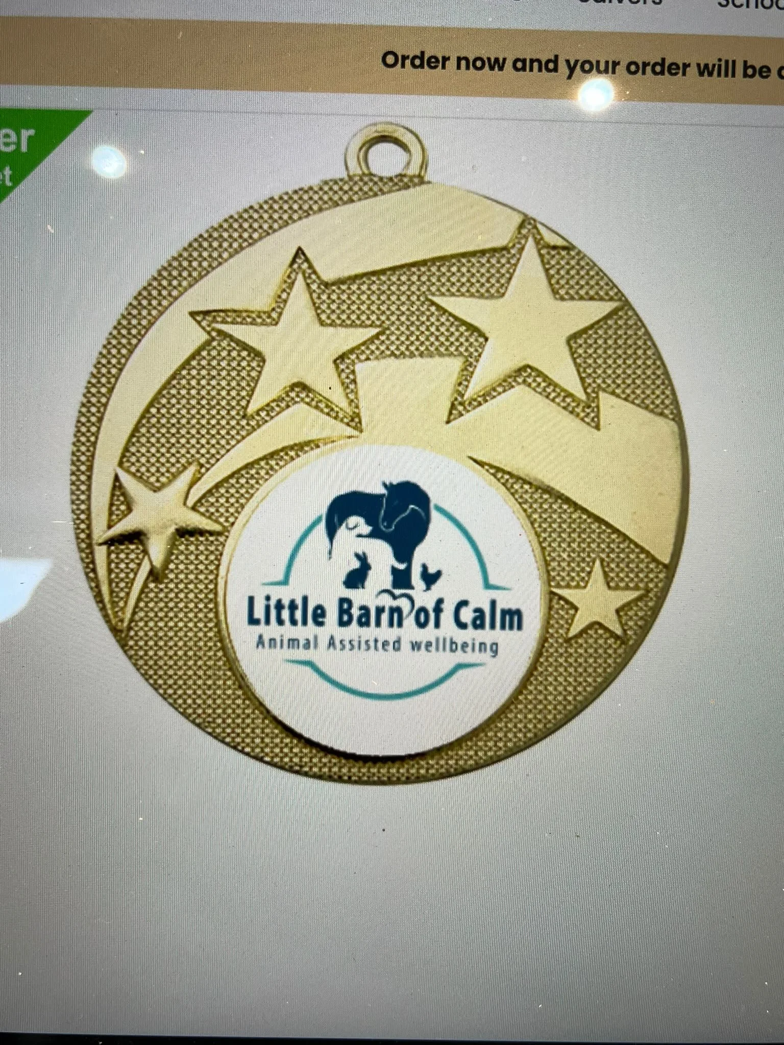 Summer Challenge Medal
