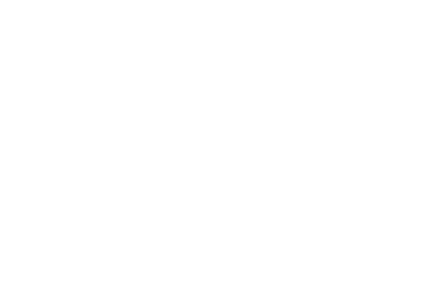 adascaa copy 3.png