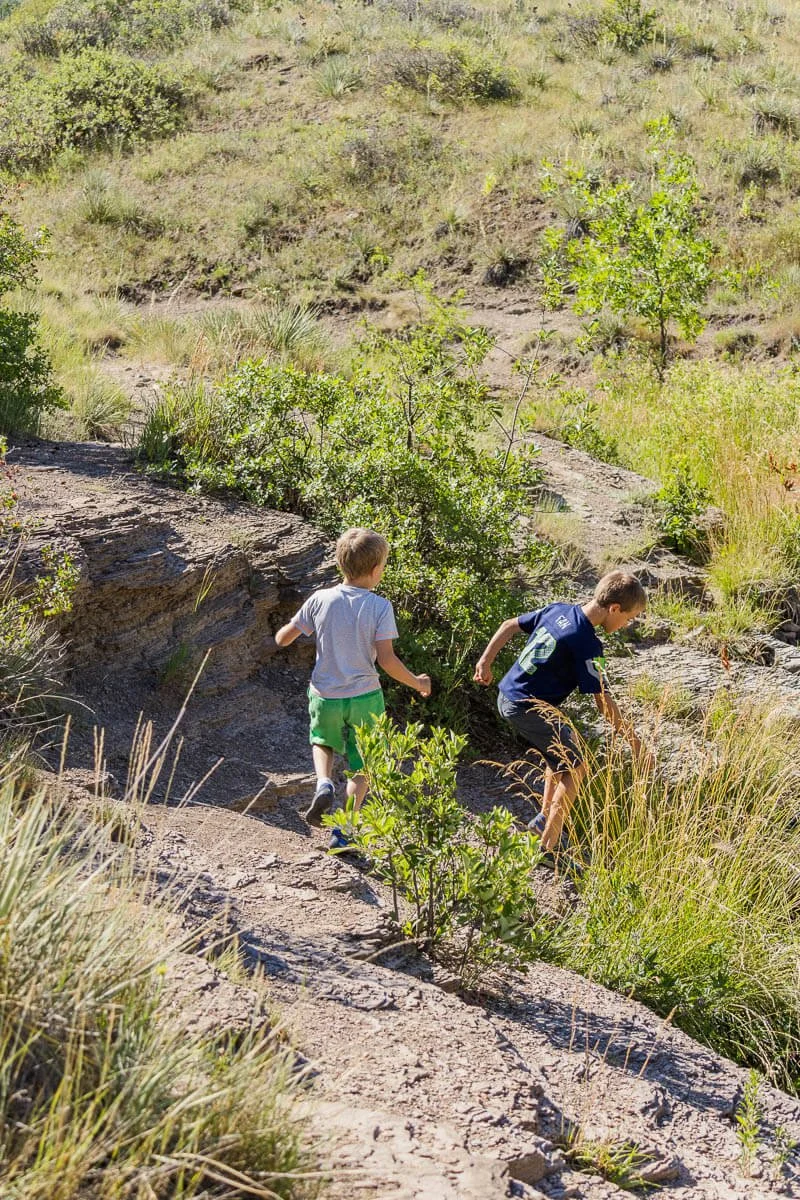 Two little boys exploring at Giant Springs State Park in Great Falls, Montana