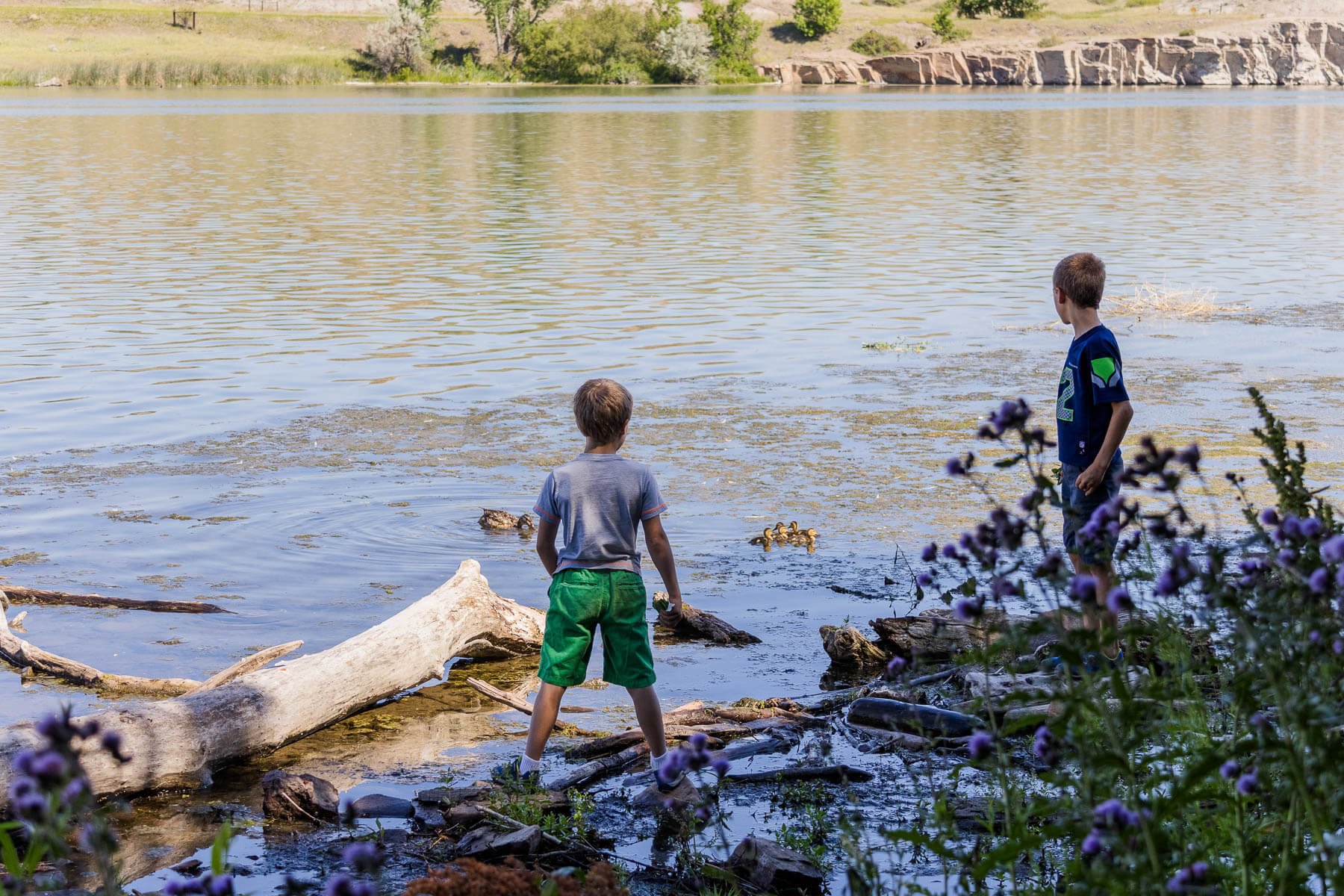 Two little boys watching ducklings in Missouri River at Giant Springs State Park