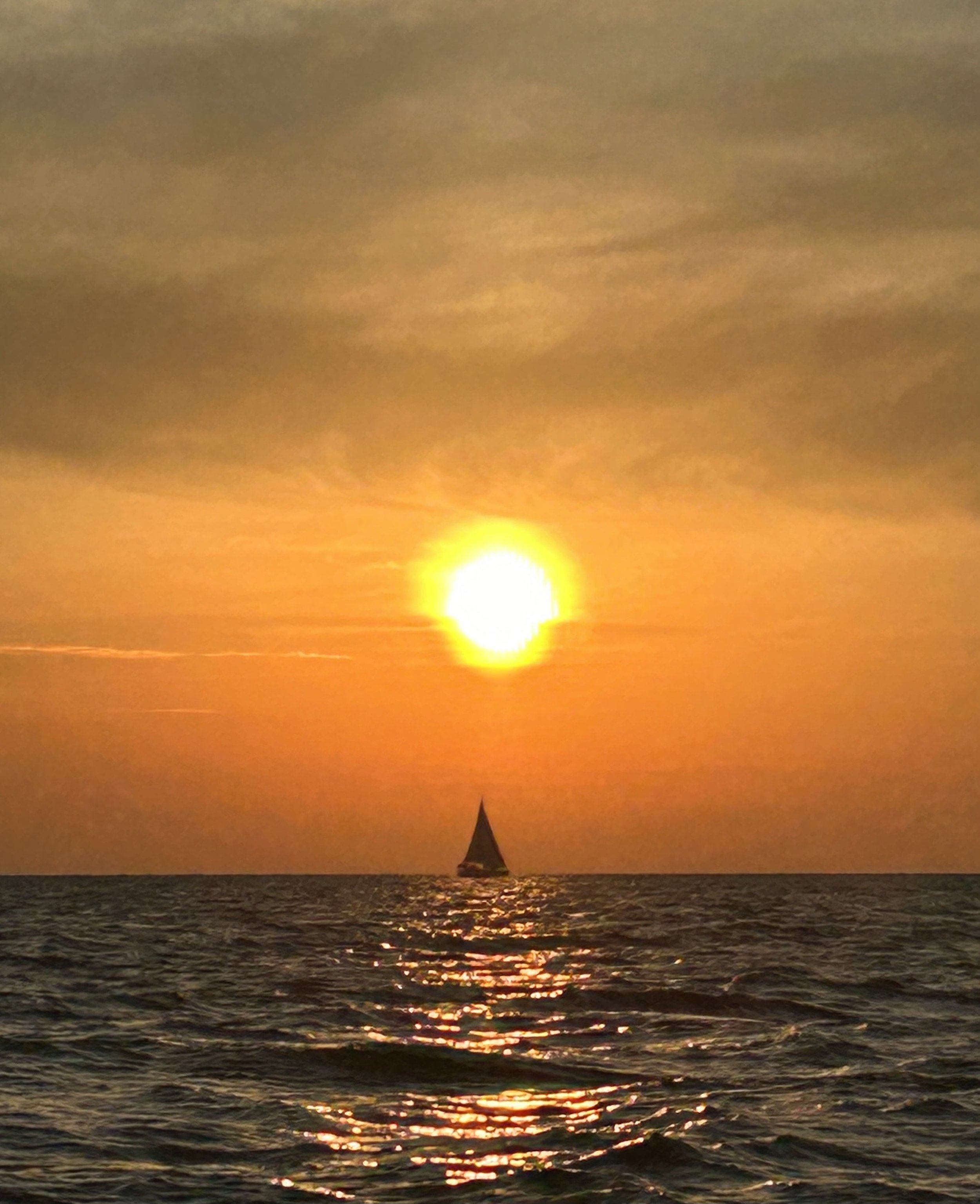 IMG_4006.jpeg