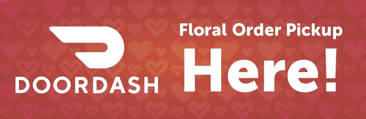 Screenshot 2026-01-31 215927.jpg