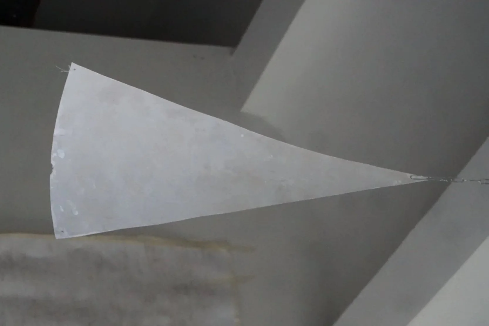 Pain // White Painted Plywood 