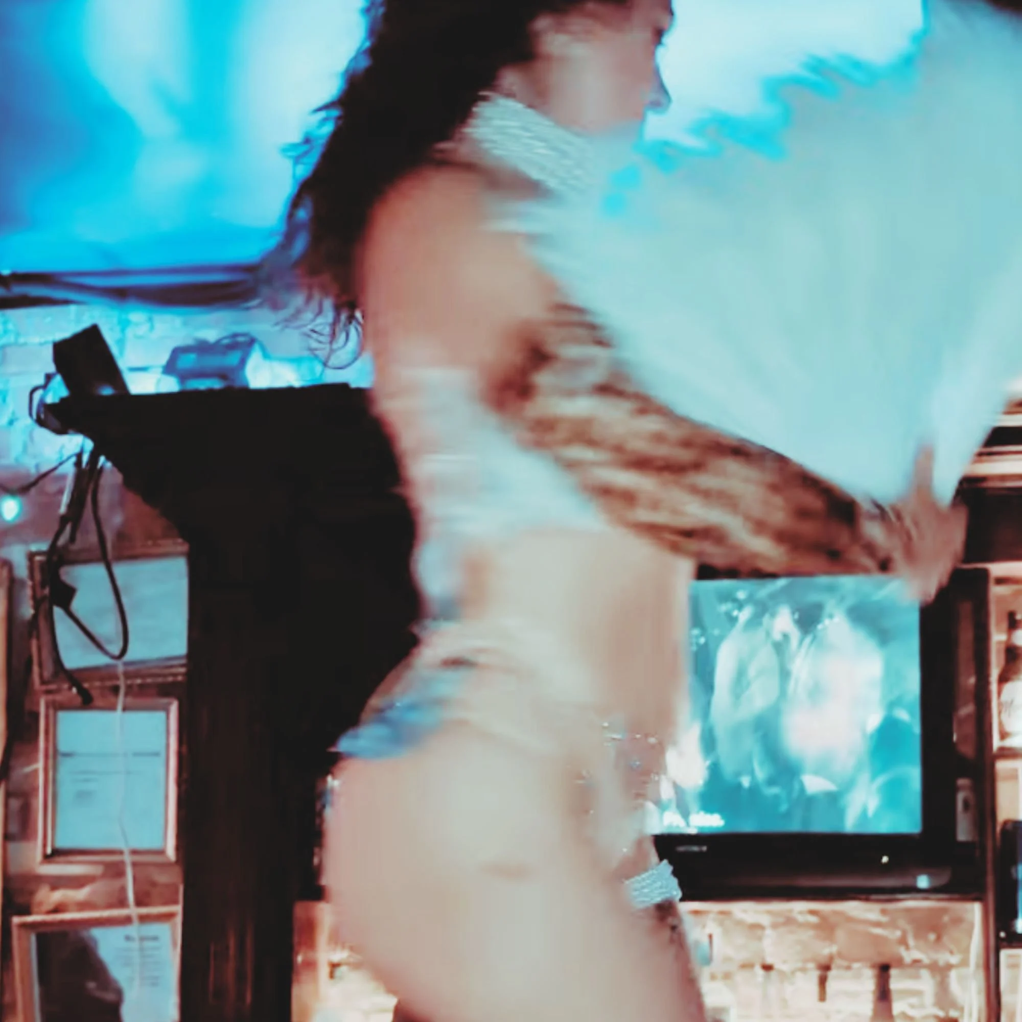 A PAINTED LADY SATURDAY NIGHT 