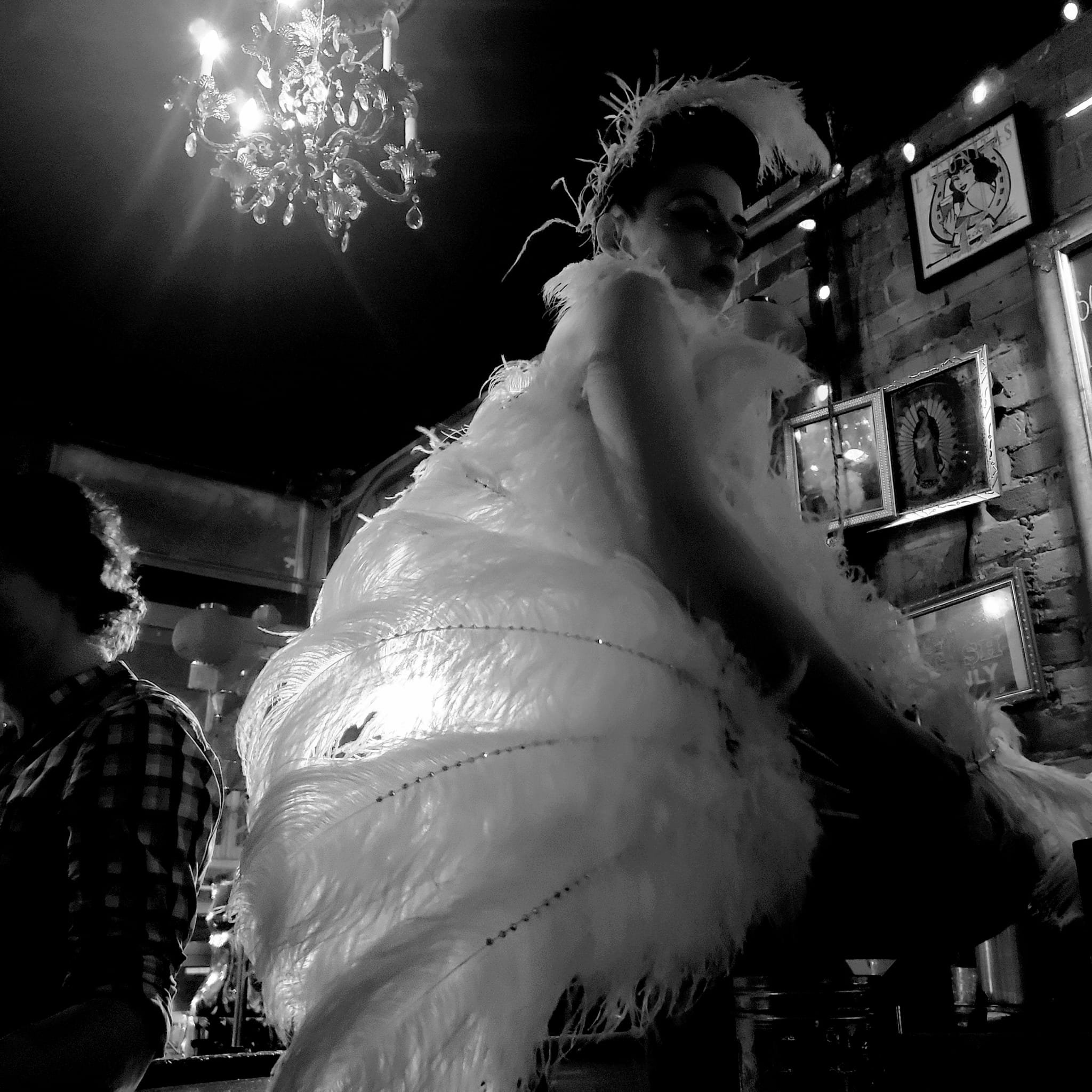 A Painted Lady Saturday Night 