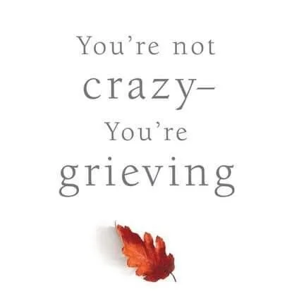 Grief is Crazy…Not You.