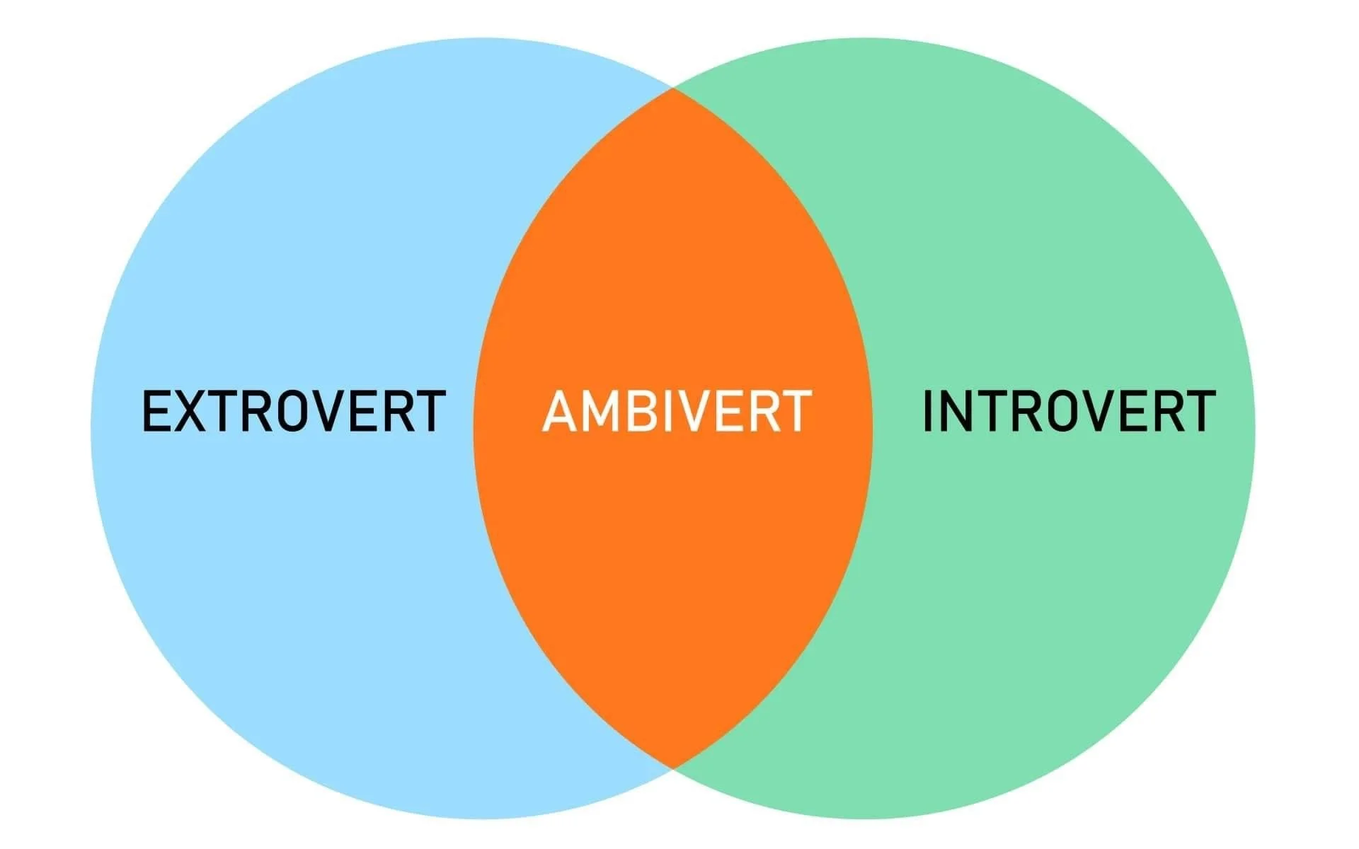What Kind of “Vert” Am I?