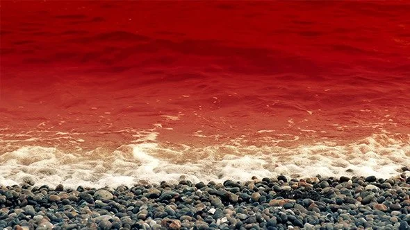 It Isn’t Their Sea