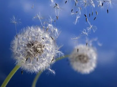 Winds of Change