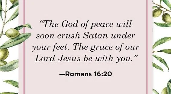 Chasing Peace