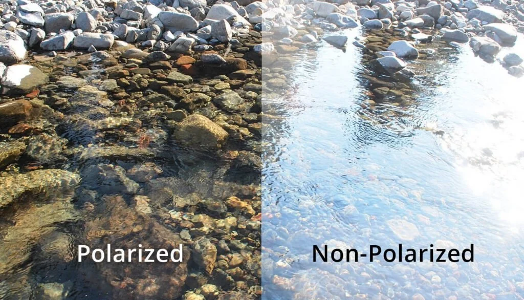 Polarized