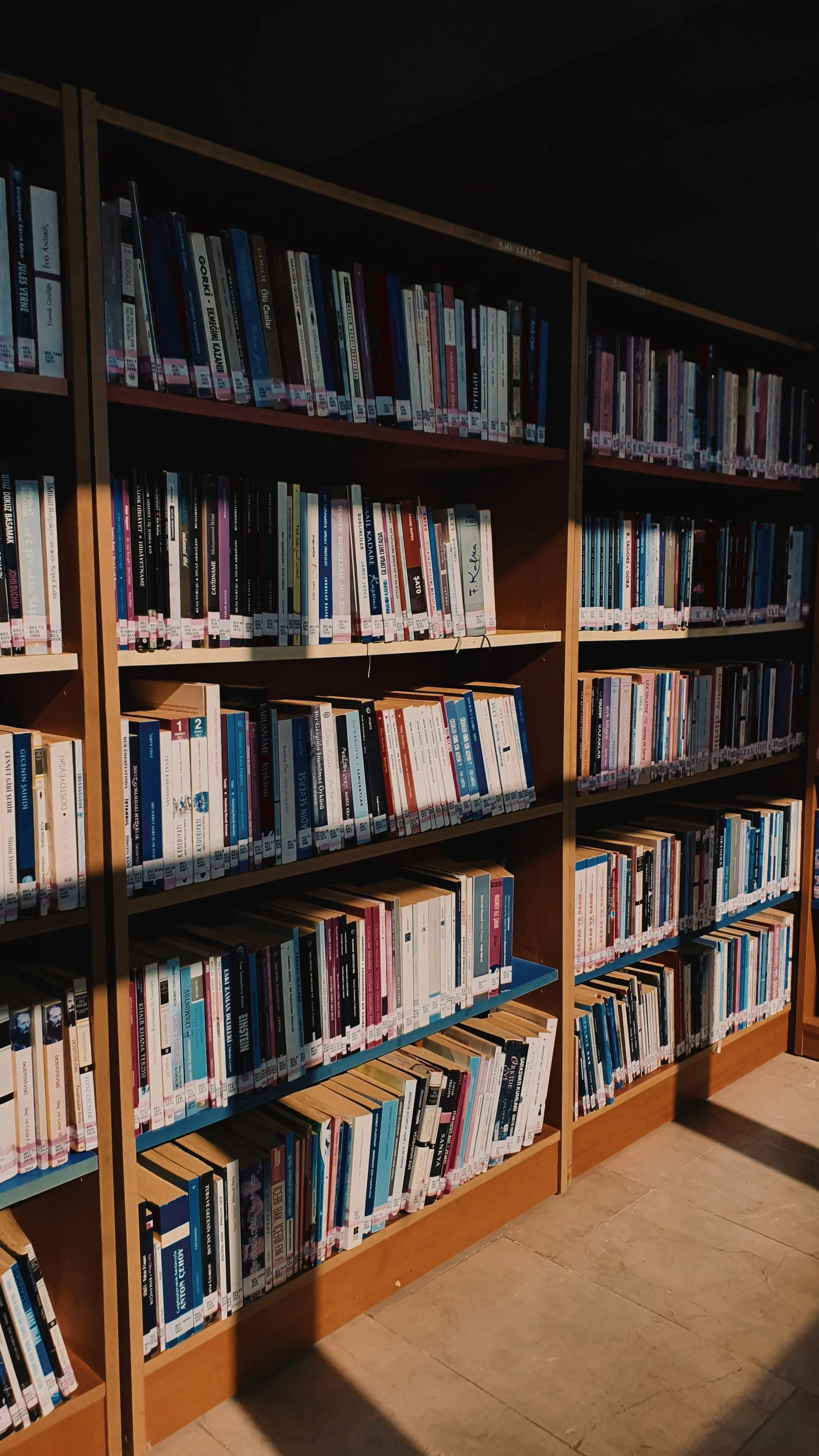 A wooden bookshelf filled with numerous books in a library, with some books stacked horizontally and their labels visible on the spines.