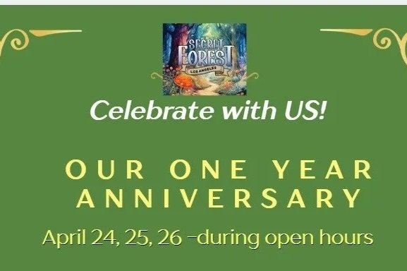 ONE YEAR Anniversary