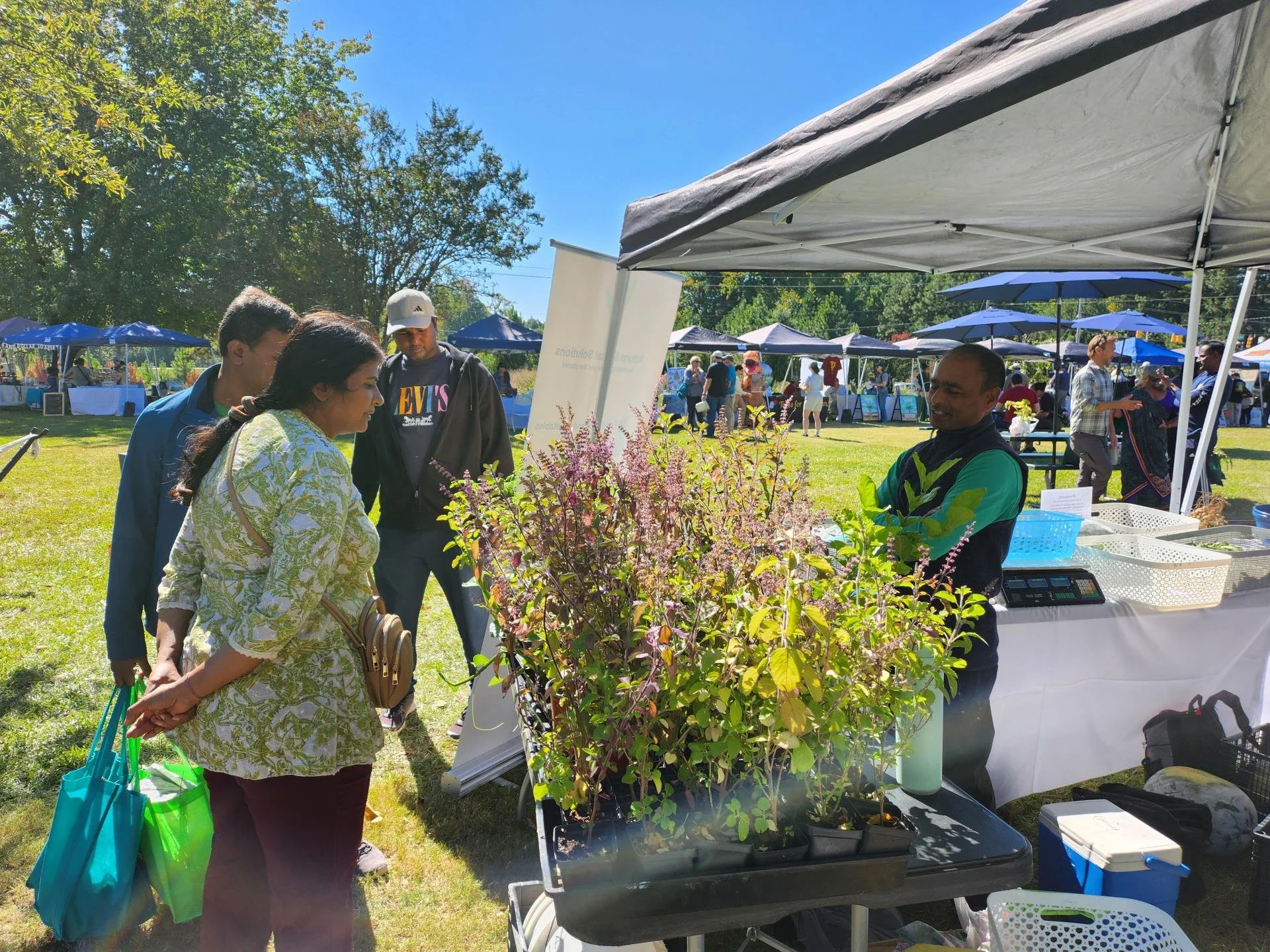 Cary Harvest Festival