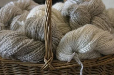 Courtesy Post: NCSPA Wool Meeting &amp; Fiber Day