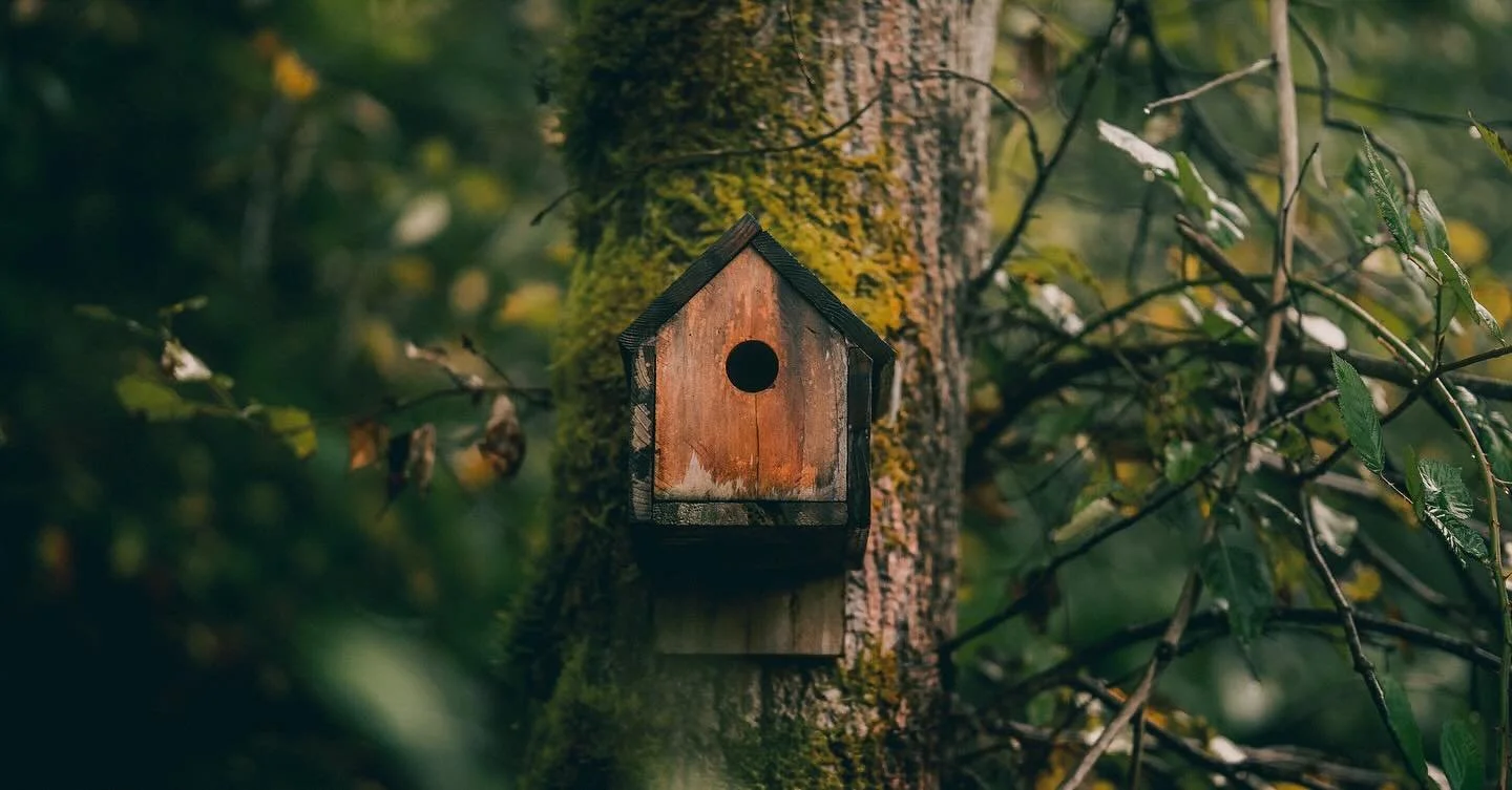 Found a cool new walking path with a ton of lil birdhouses! I&rsquo;m really digging this 85mm. 

🌲 📸 🌲 

#viltrox85mm #viltrox85mmf14 #viltrox #shotonviltrox #sonyalpha #sonyphotography #sonya7siii #sonya7s3 #sonyalpha #pnwlife #pnwcollective #pn