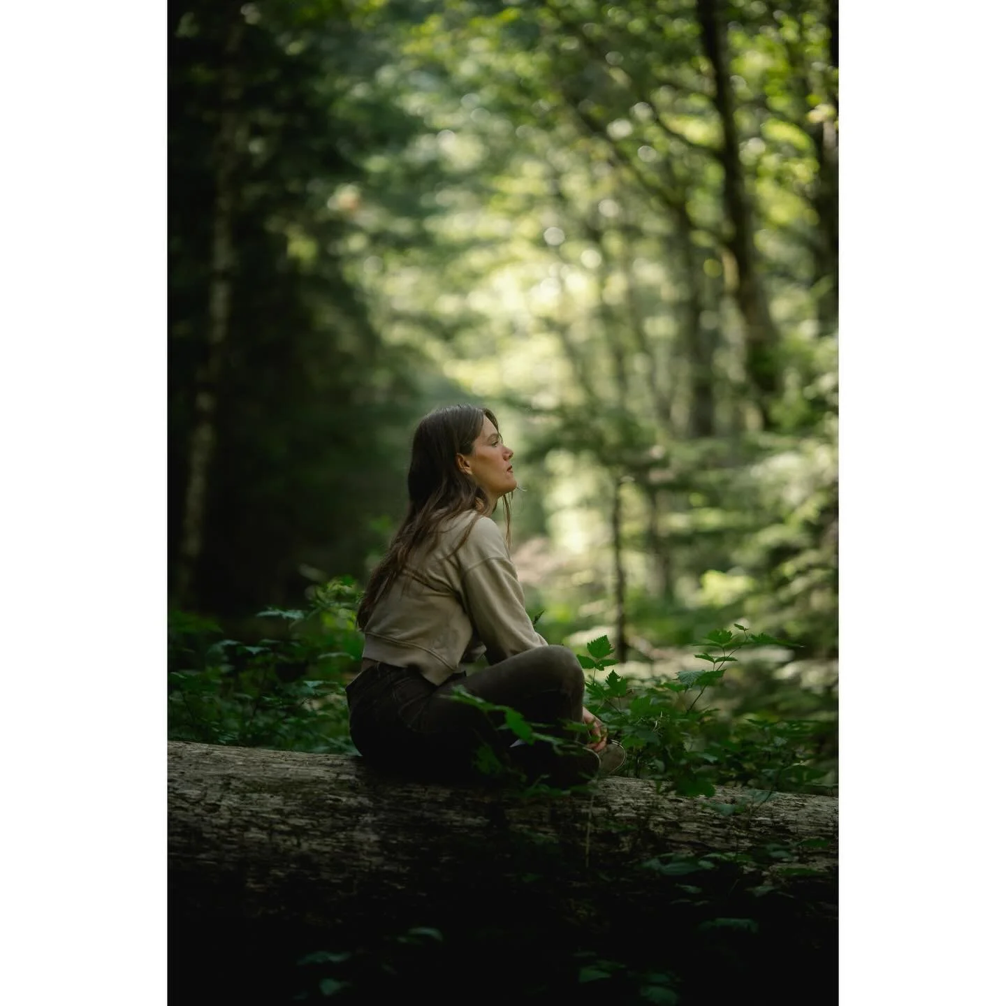 Realizing I have a bunch of photos from summer that I haven&rsquo;t posted!

Shot on: 
@sonyalpha A7Siii
#viltrox85mm f/1.4
#momentcinebloom 

🌲 📸 🌲 
#viltrox #washingtonexplored #pnwwonderland