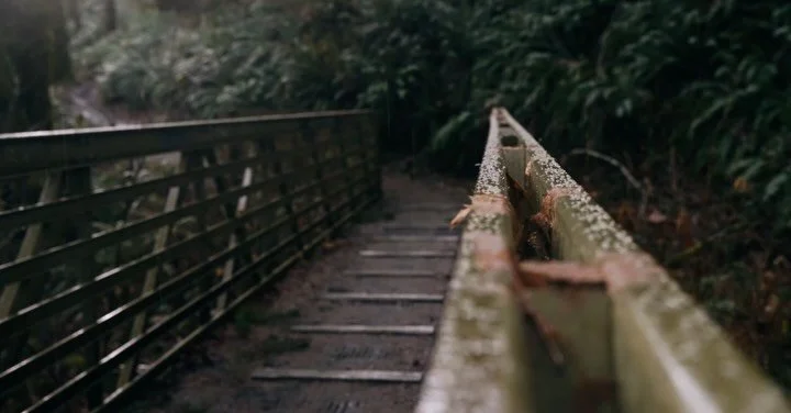 🔊 Postcard 2

🌲 📸 🌲 
#pnwlove #pnwphotography #nature_lovers #forestlover #upperleftusa