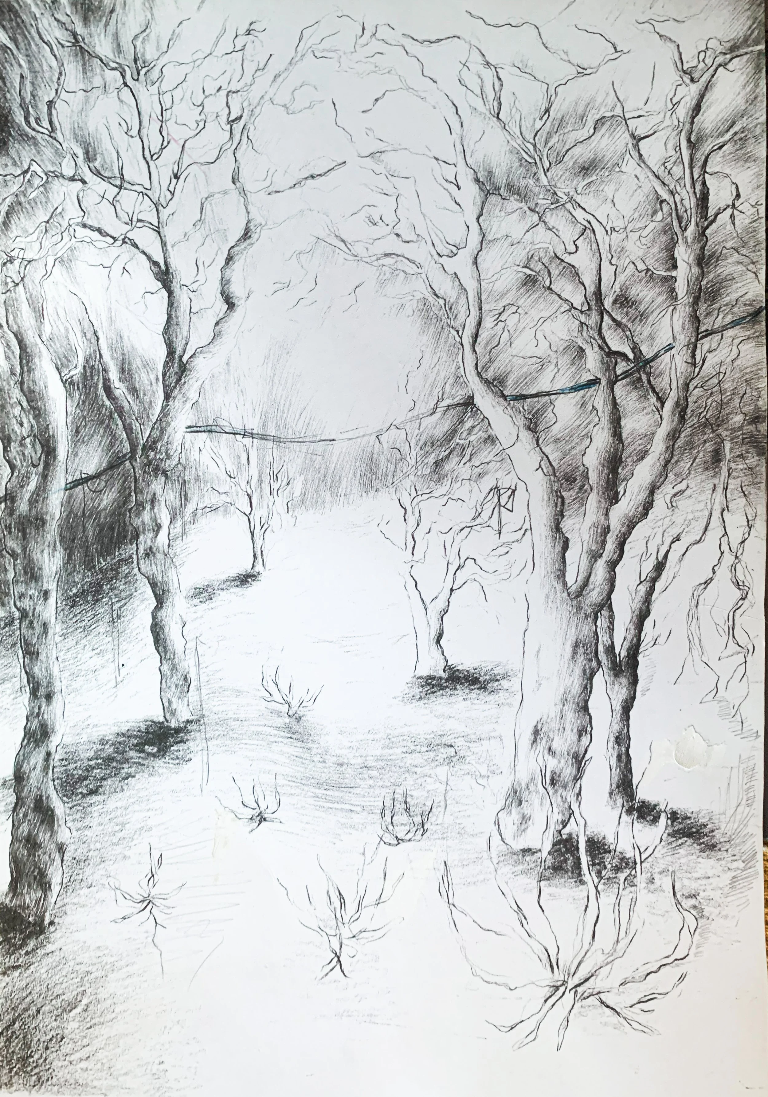 lightinin crno belo.jpg