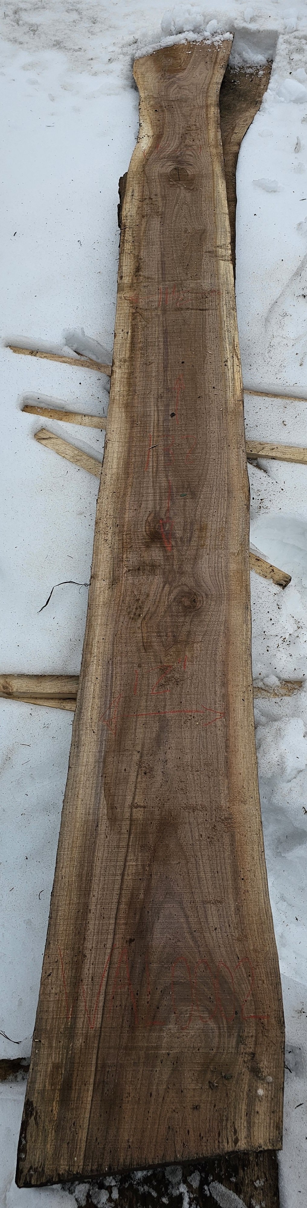 Black Walnut Slab