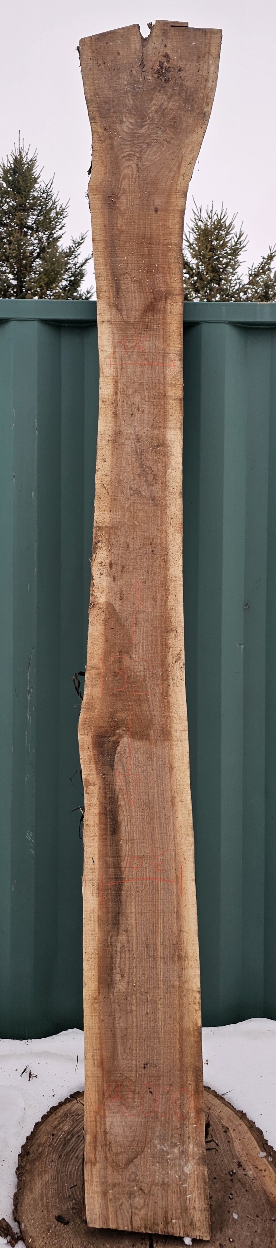 Black Walnut Slab