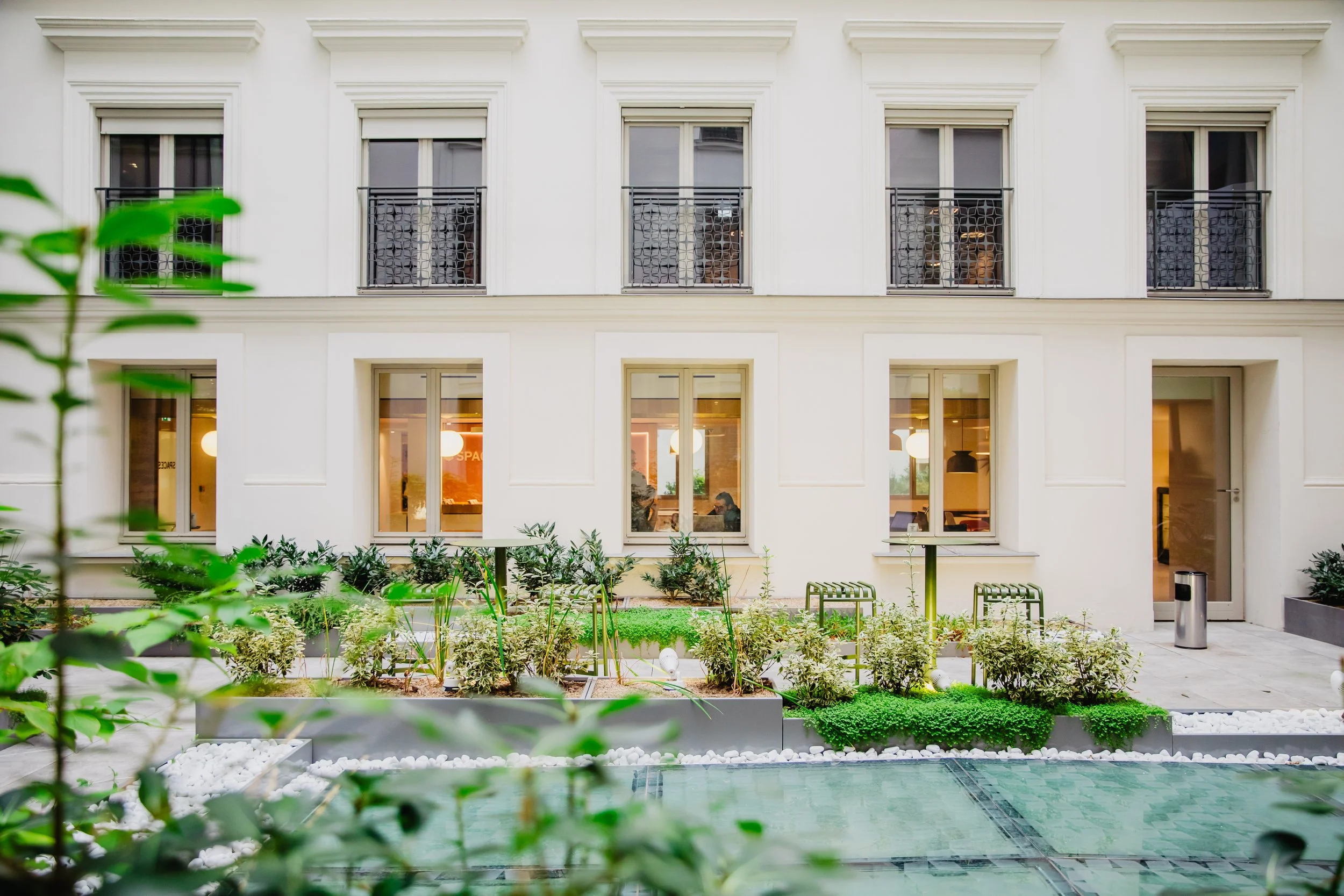 Cour intérieure moderne avec végétation, fenêtres, et bâtiment blanc