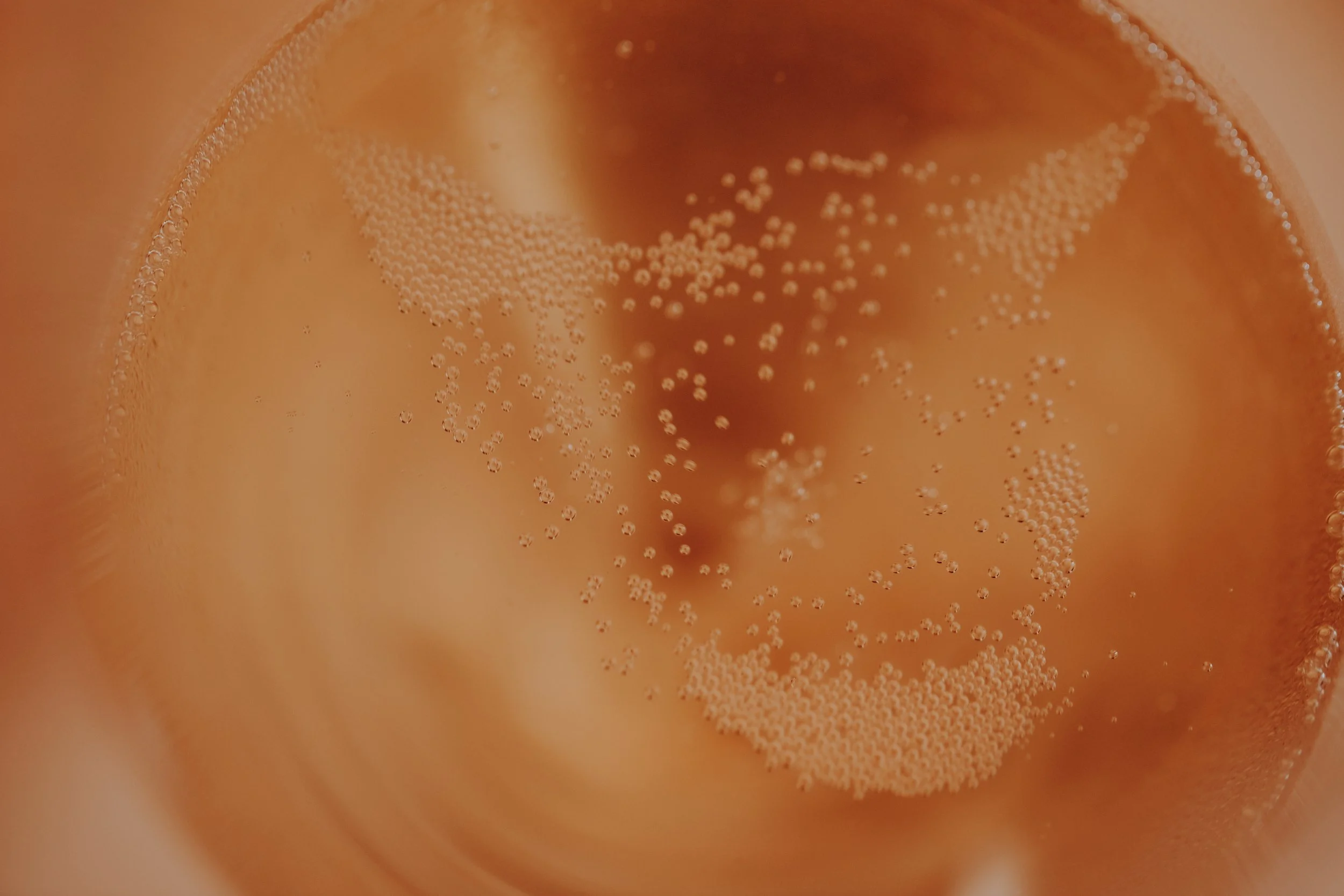 reportage immersif chez Moët Chandon par Studio Moka