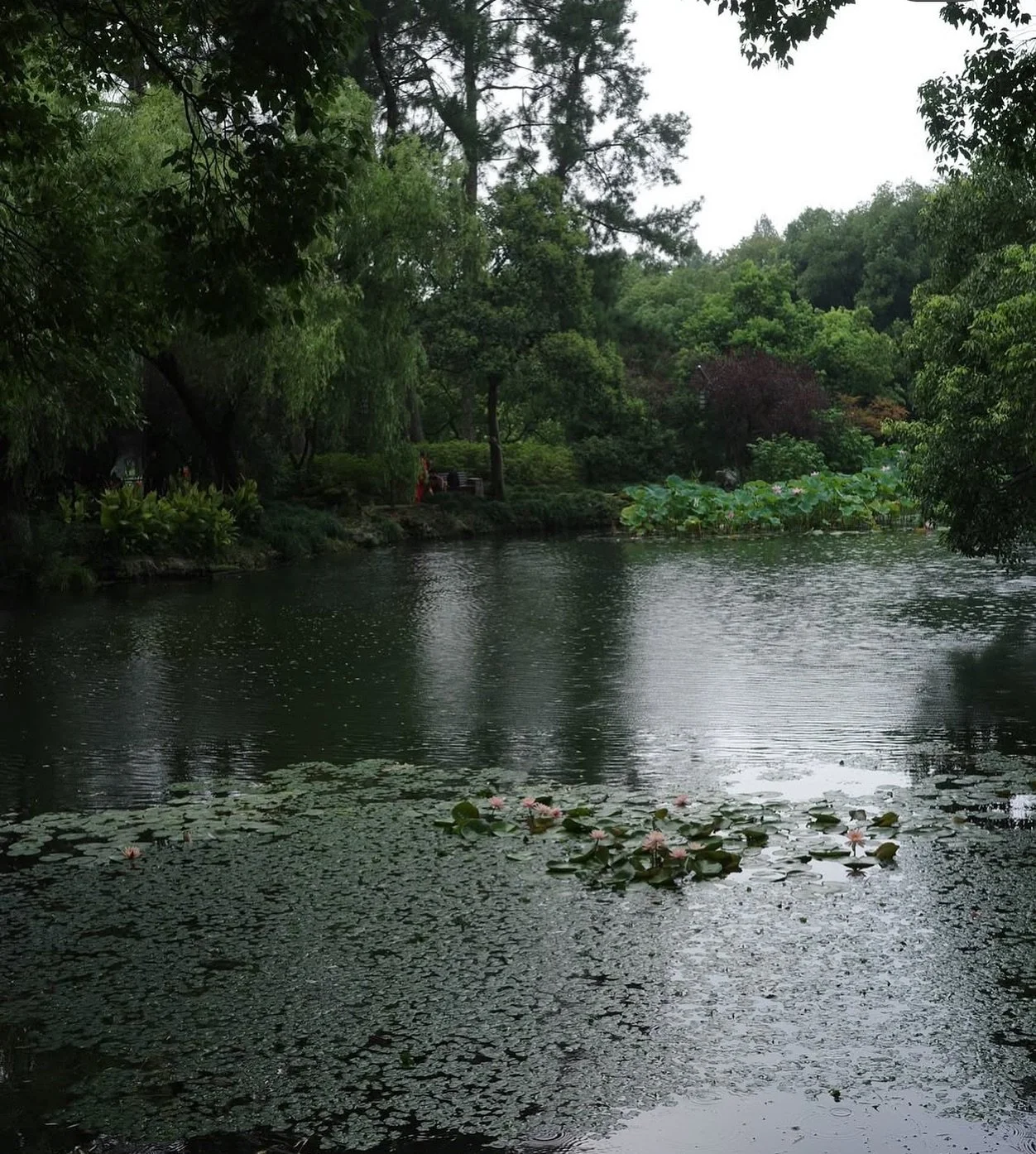 West Lake - Sunday November 16th 

Inspired by the artisans of Hangzhou&rsquo;s West Lake, our autumn dinner honors the beauty of what is made by hand. Every dish, every pour, every textile, and table detail reflects a devotion to craft &mdash; to th