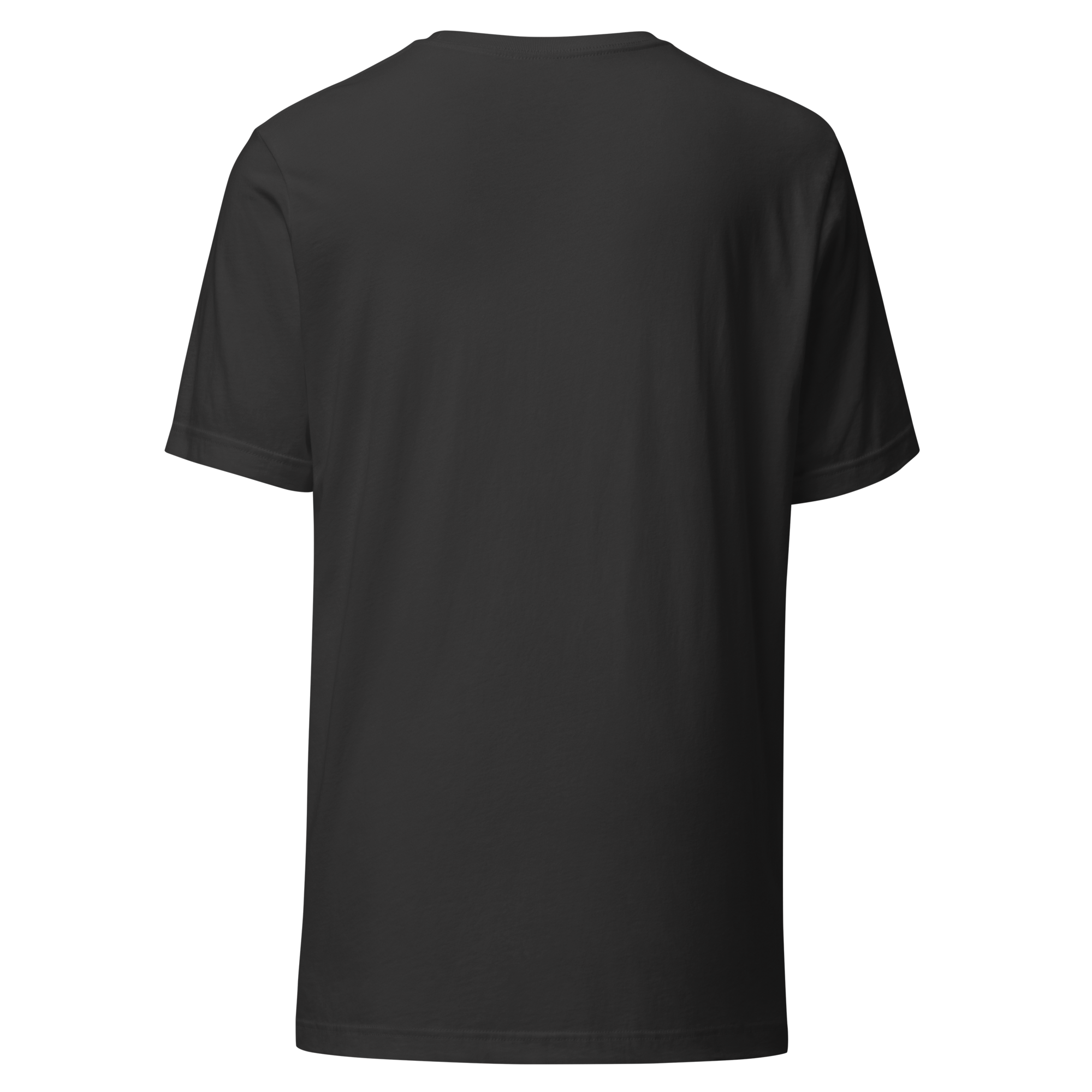 unisex-staple-t-shirt-dark-grey-back-67dcce328a69b.png