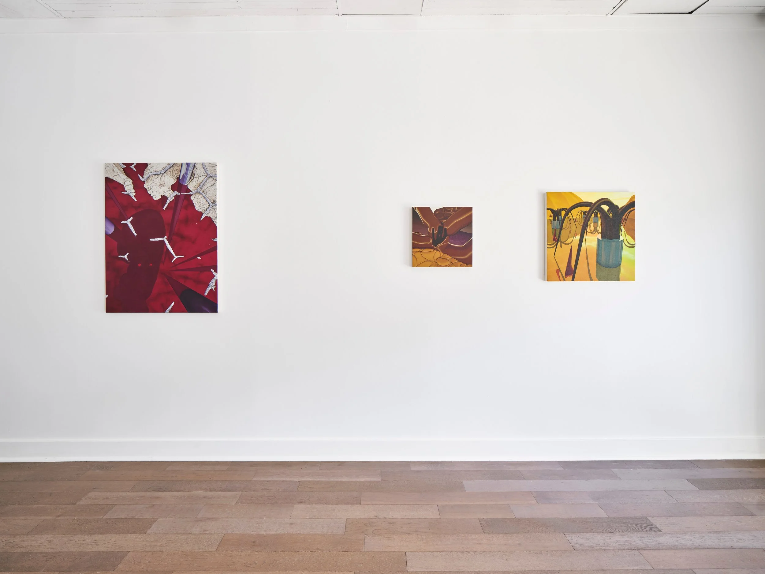 Art gallery wall displaying three abstract paintings. The left painting features predominantly red hues with white and purple accents. The center painting is smaller, with brown and red tones. The right painting has an abstract design with yellow, gr