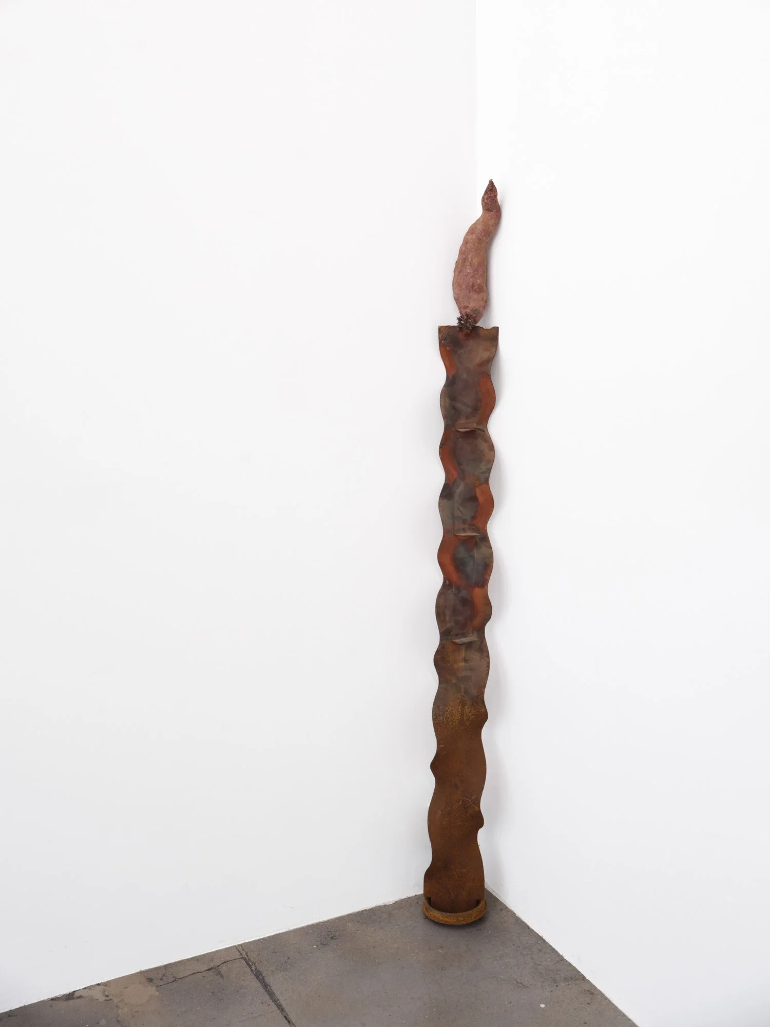 Barry Elkanick 
Ill-conditioned empire, 2026 
Found object, sweet potato 
56 x 5 inches