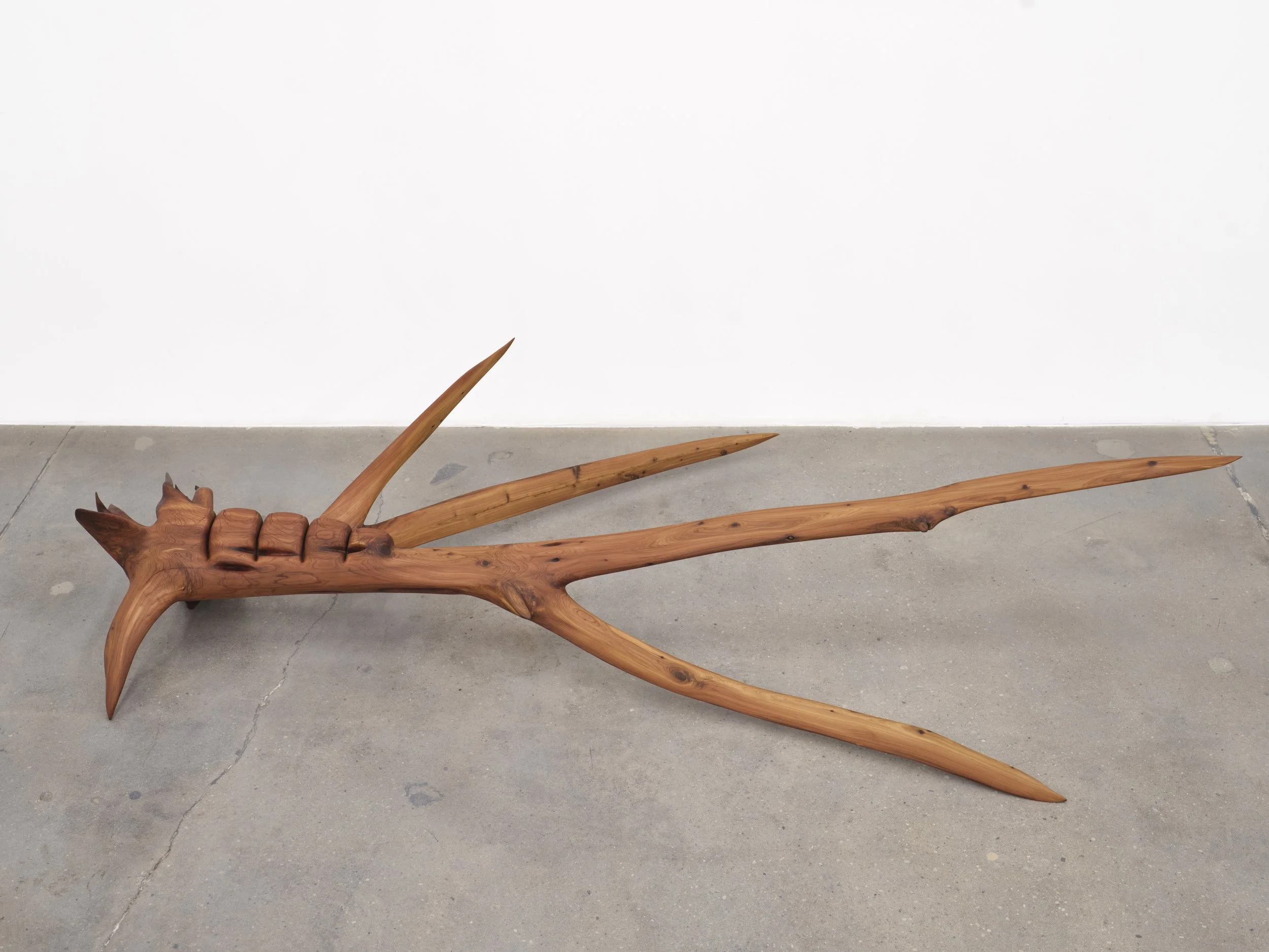 Wes Thompson 
Rooted, 2025 
Ashe Juniper 
13 (h) x 65 (l) x 30 (w) inches