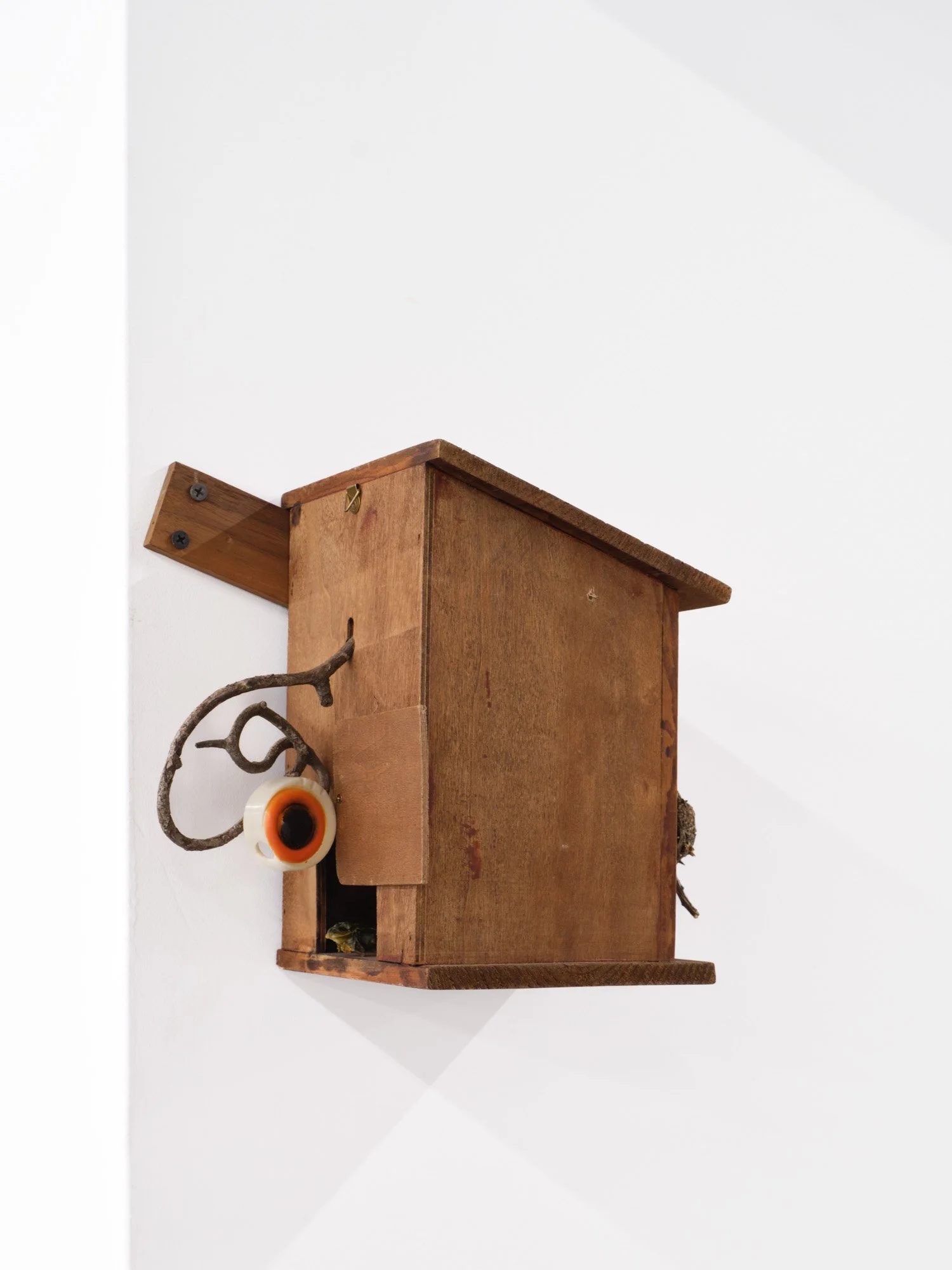 Barry Elkanick 
The world behind shameless forgery, 2026 
Found objects, dead frog 
6 x 9 x 5 1/2 inches