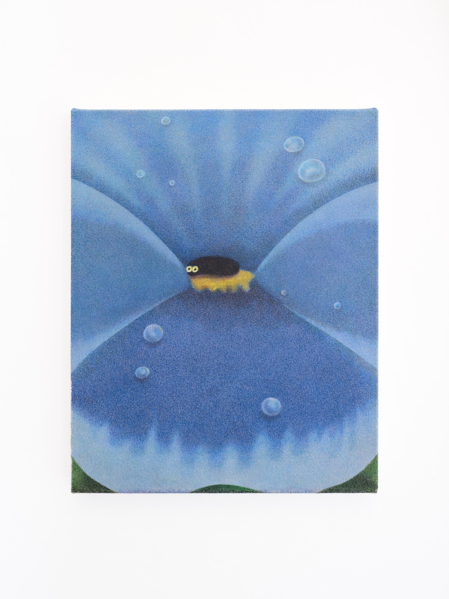 Payton McGowen 
Big Softie, 2026 
Colored pencil and gouache on canvas 
16 x 20 inches