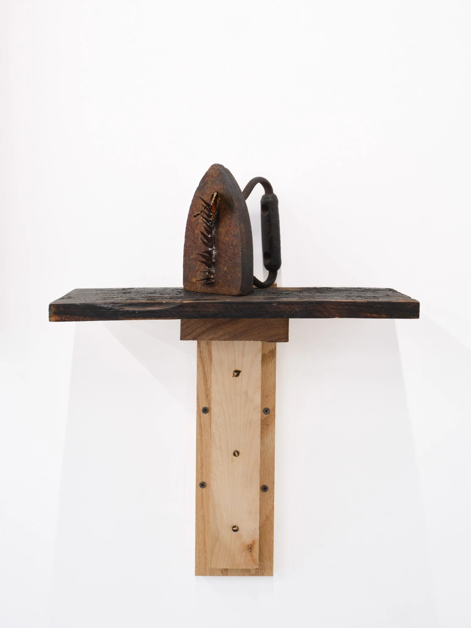 Barry Elkanick 
Donation of Constantine, 2026 
Iron, thorns, butterfly, found wood 
18 x 16 x 6 inches