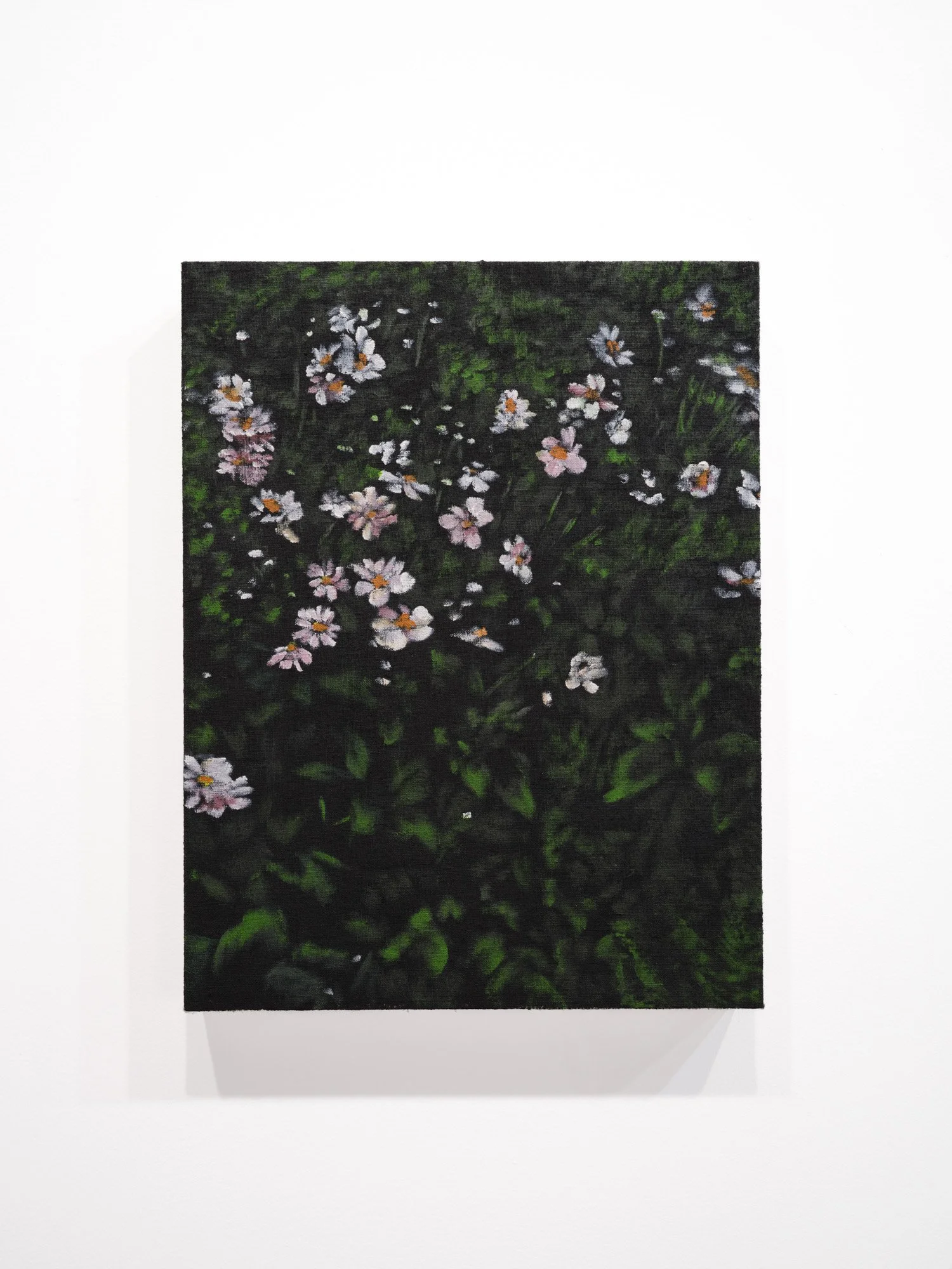 RF. Alvarez 
Primrose, 2026 
Acrylic on raw linen 
14 x 18 inches