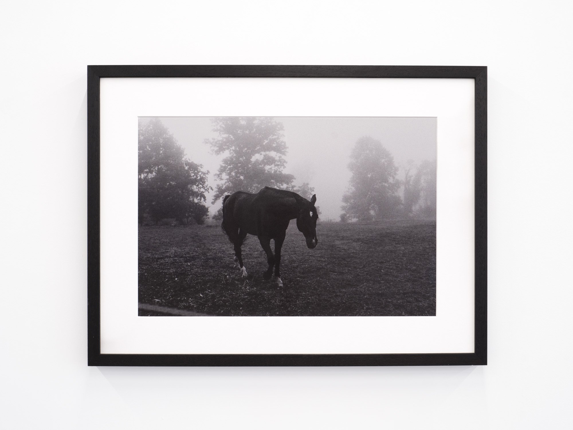 Cindy Elizabeth 
Oh, Carolina, 2025 
35 mm film photograph printed on archival photo rag 
16 x 20 inches print 
18.5 x 24.5 inches framed