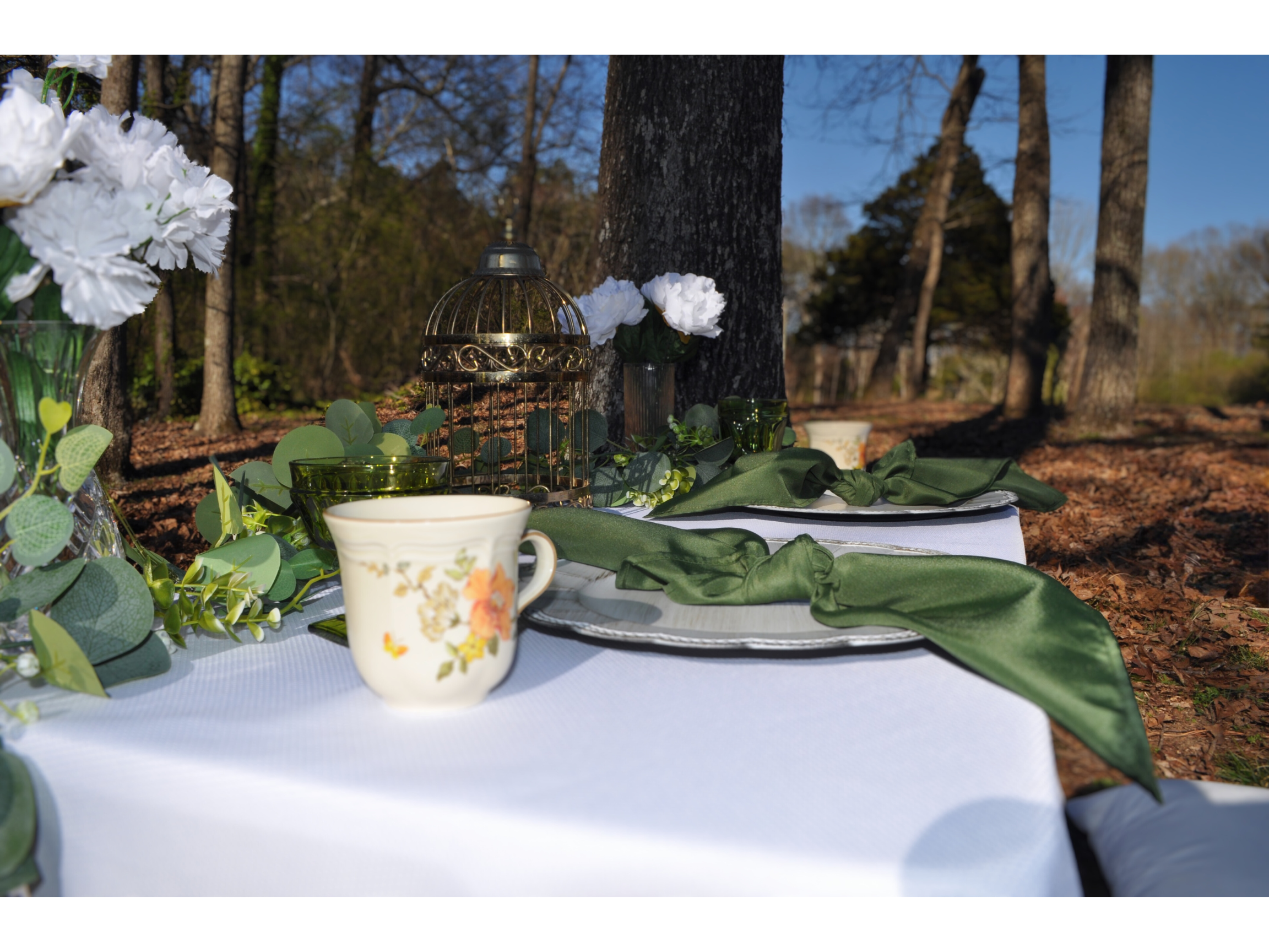 Picnic Setup in the Woods.png