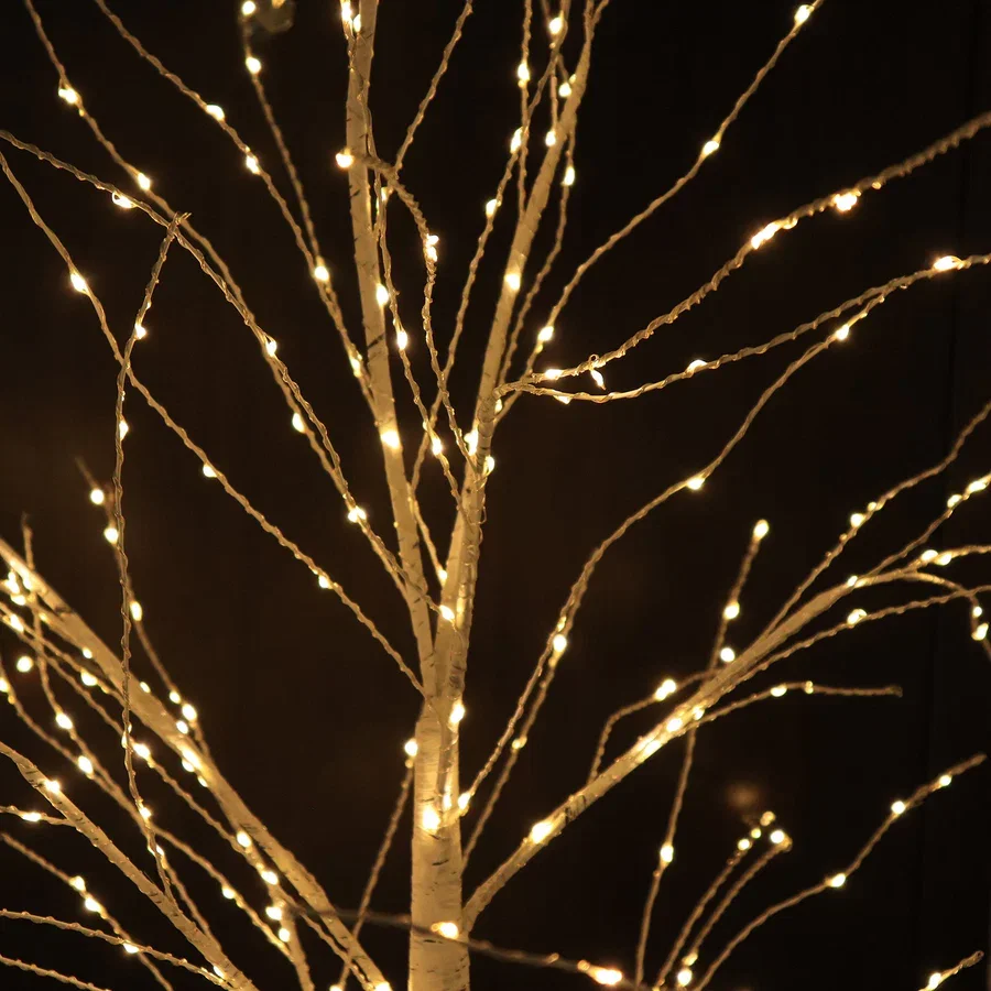 Birch Tree 2.webp