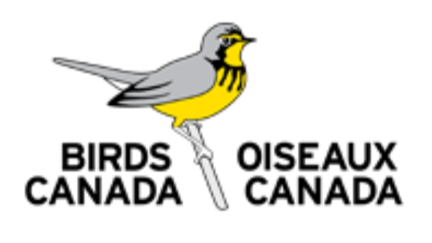 Birds Canada